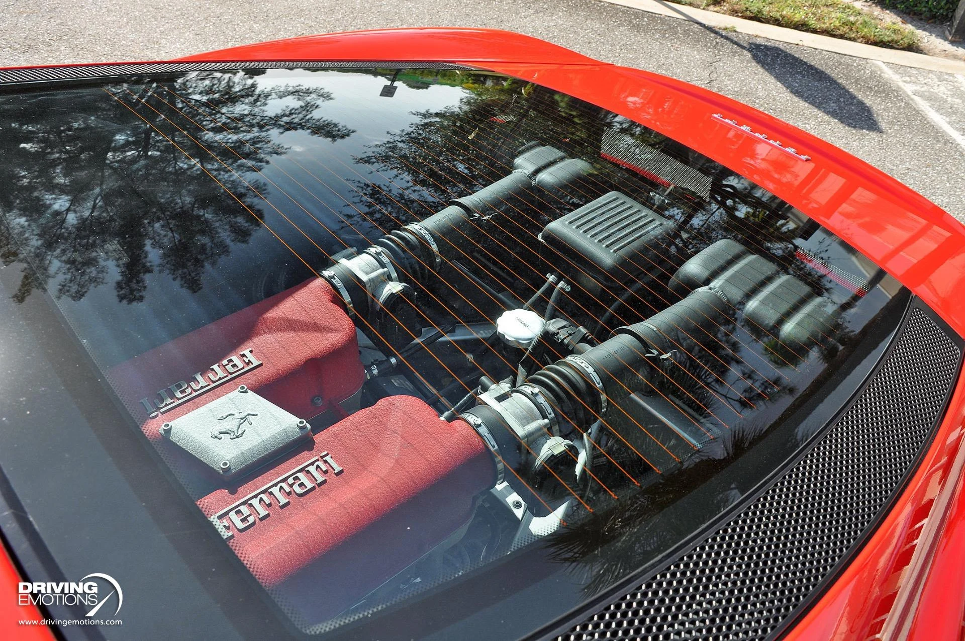 mph052_2444914405_824_p53_l_2dafe2b33e