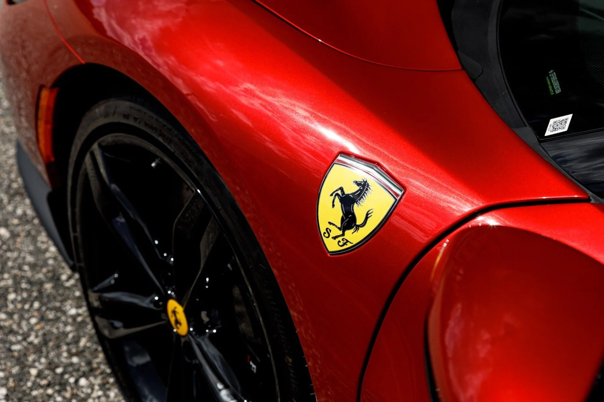 mph052_2988098745_435_p53_l_78a2408211