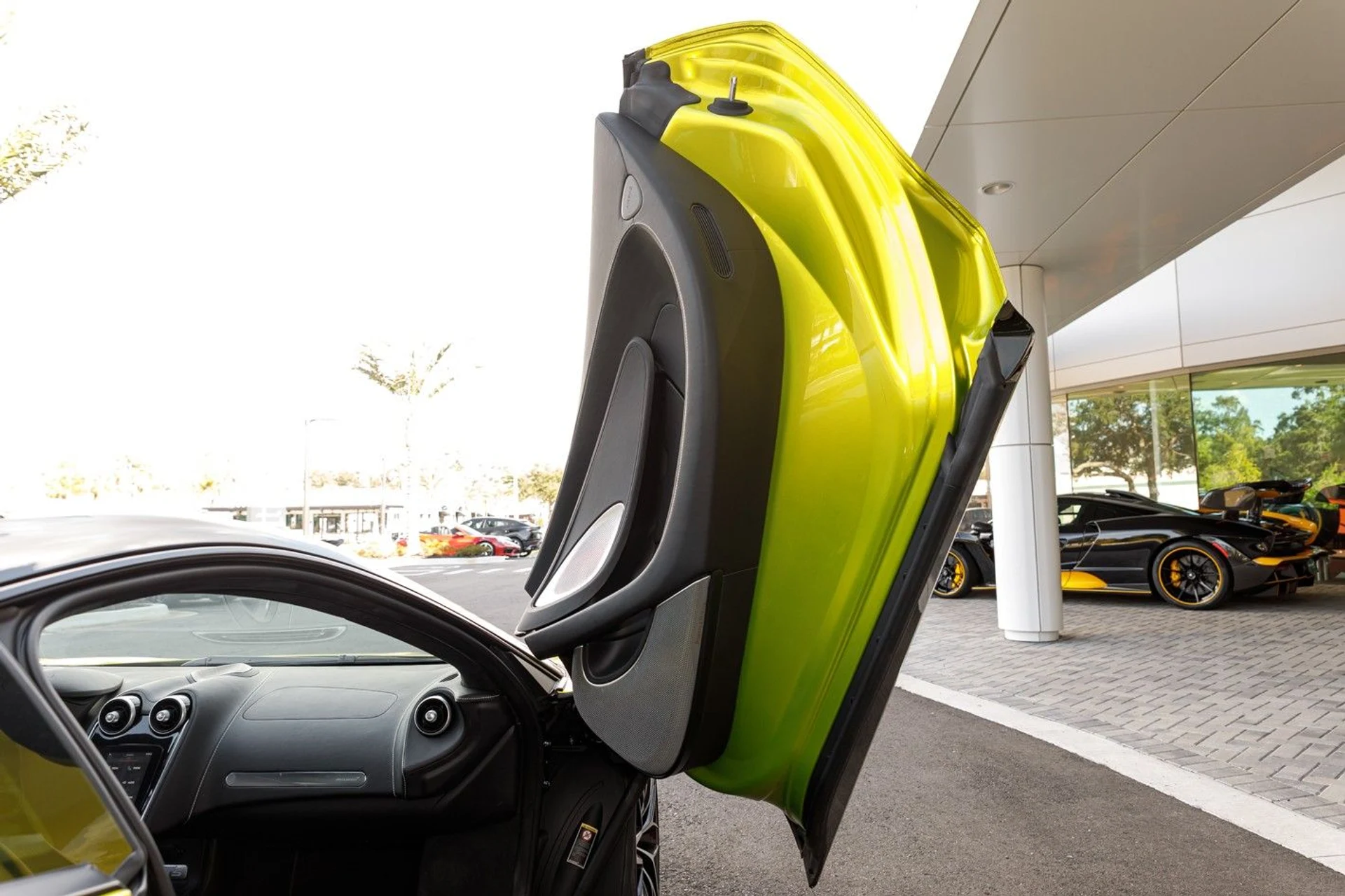 mph052_3964712019_462_p53_l_efb2133a65