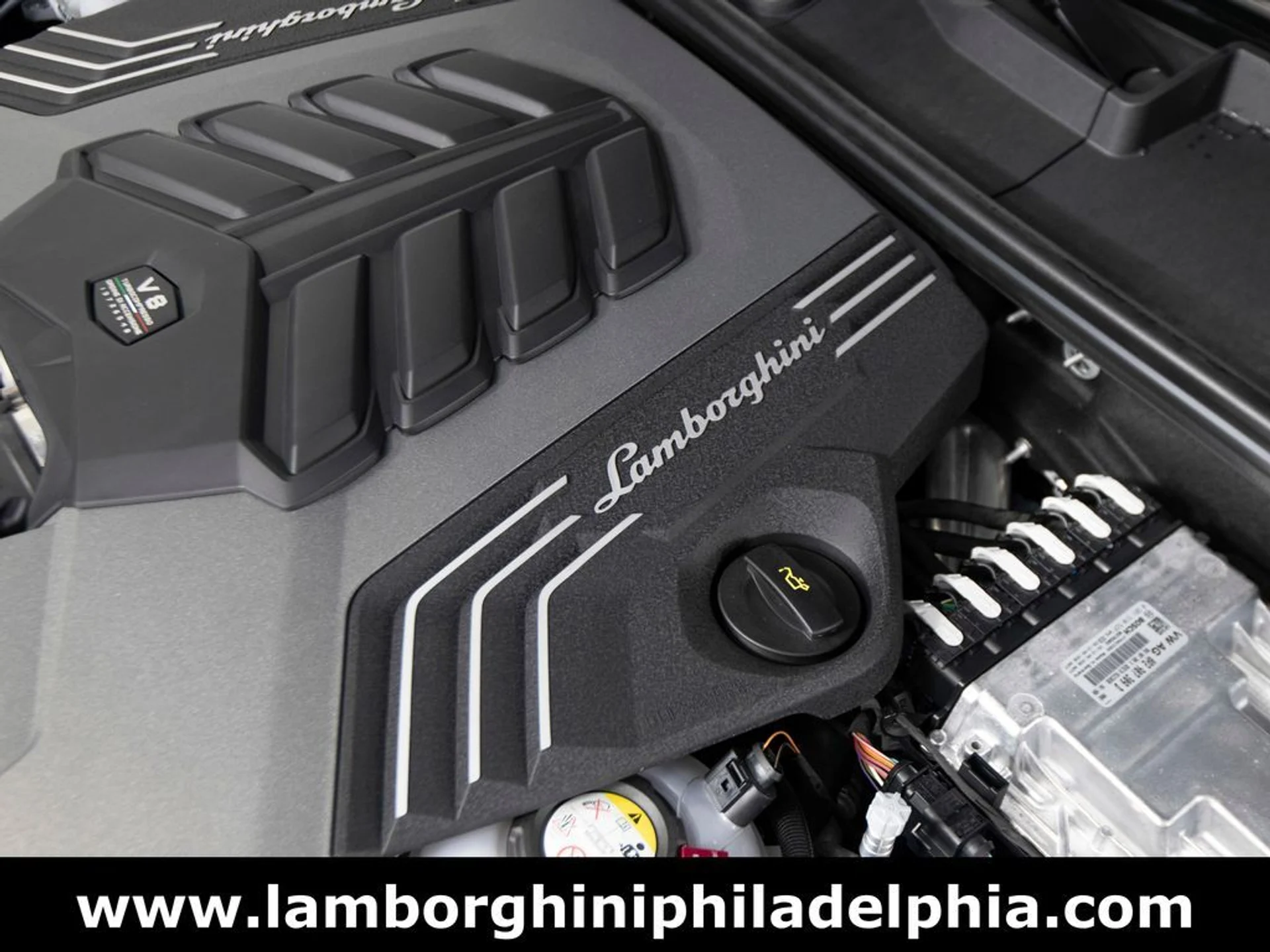 mph052_3970668162_2e2824c01fb19849de9464337aeda2c2x_1023741465