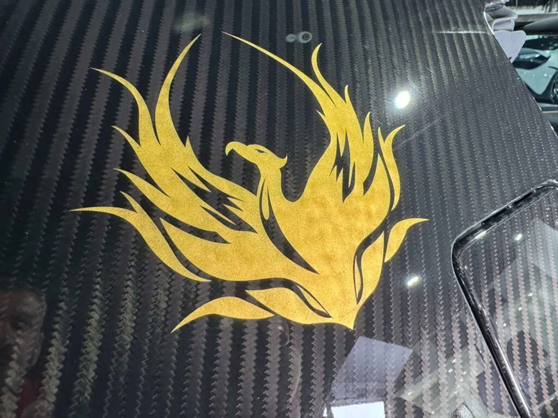 mph052_3982364264_8a87798223b21b1cdeb40ed0a1137c29_87ff554a5b