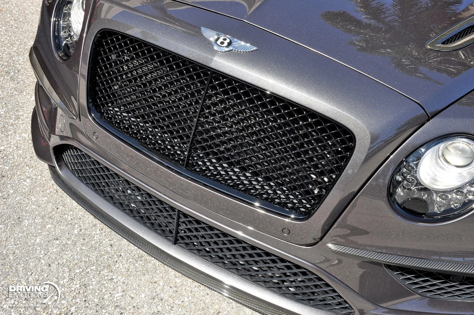 mph052_3985912037_891_p53_l_32877a4b47