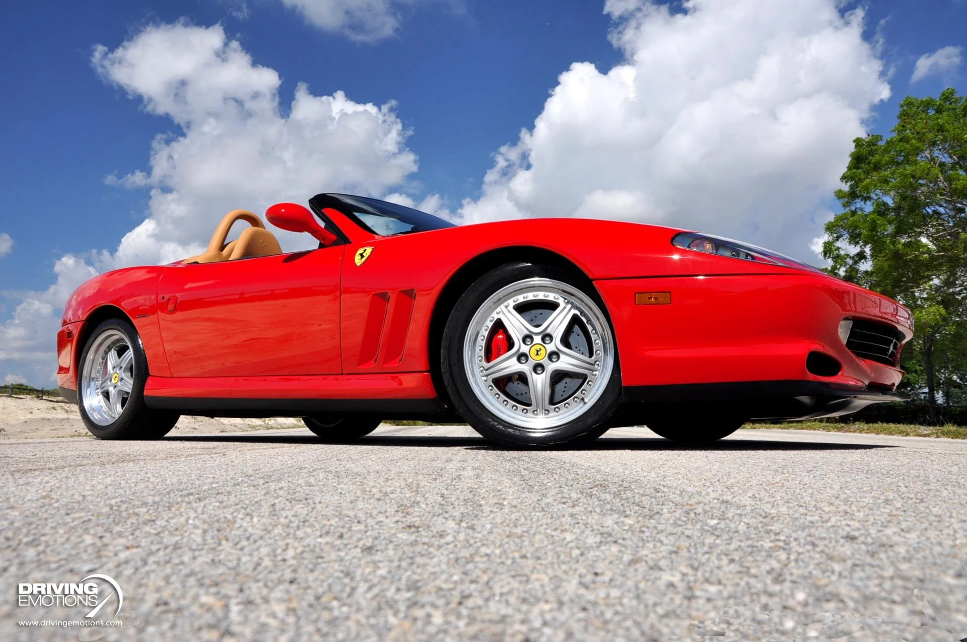 mph052_3989635709_437_p53_l_e2fa0afaef