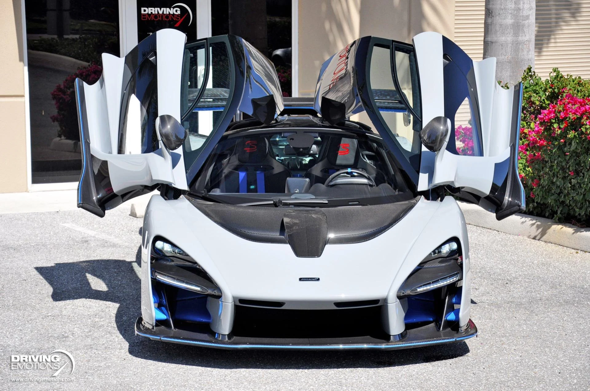 mph052_508518845_683_p53_l_976b15c43a