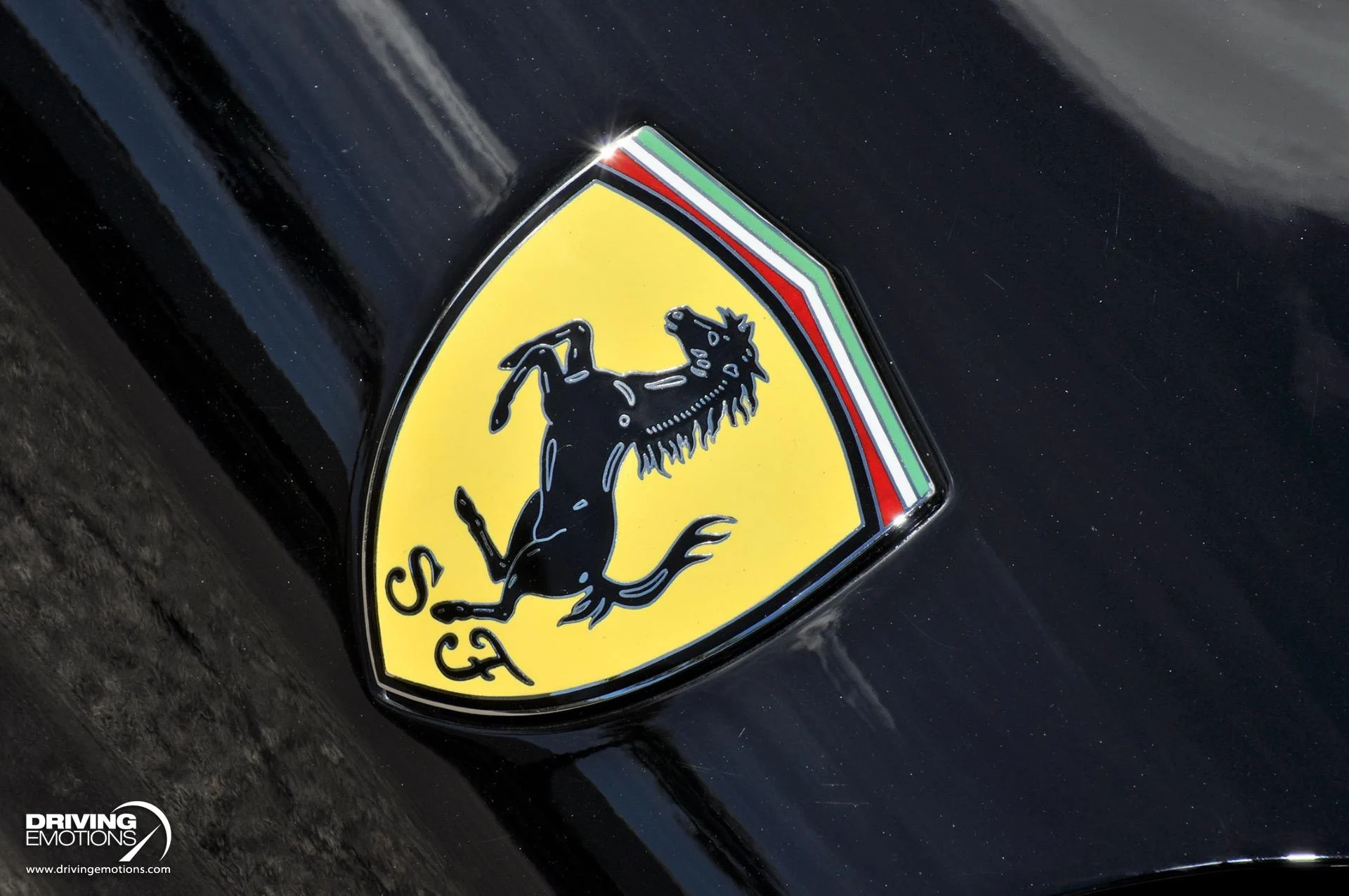 mph052_672495541_885_p53_l_61fb1ad548