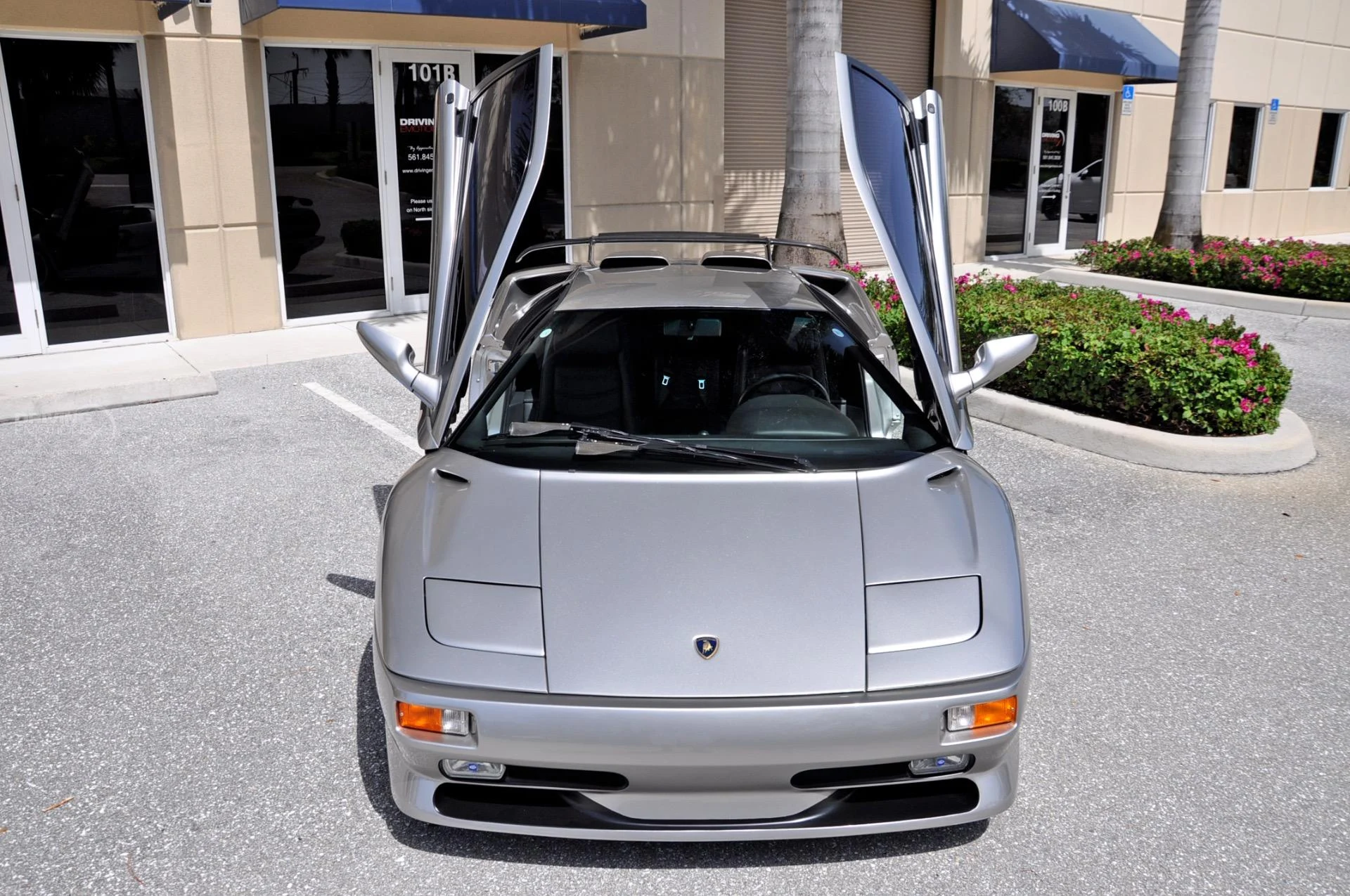 mph052_859389403_192_p53_l_341175366c