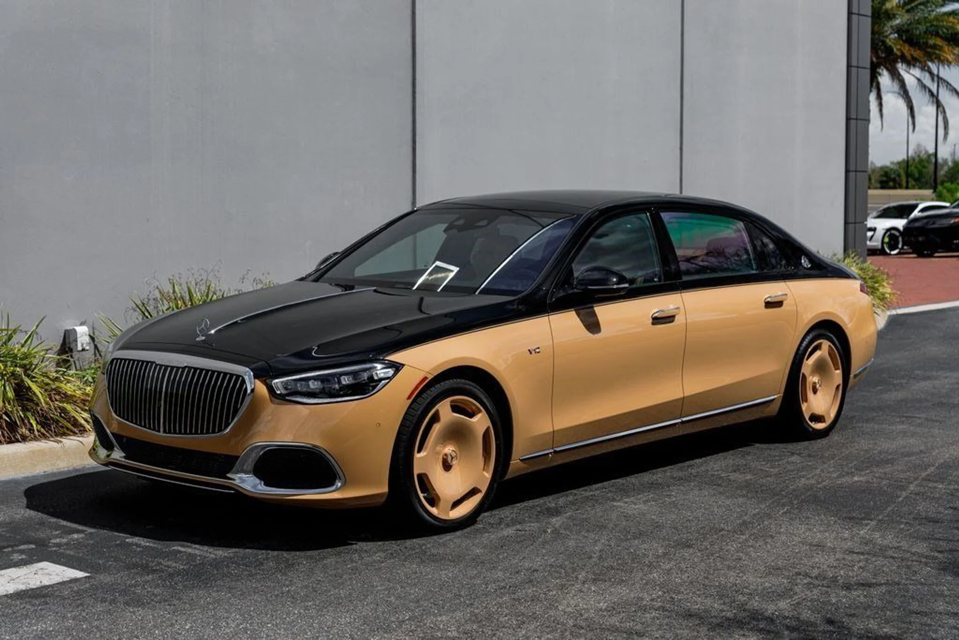 mph052_86524822_78c1777a6871ee0ba76c7e576c5172c7_6ed4a74b77