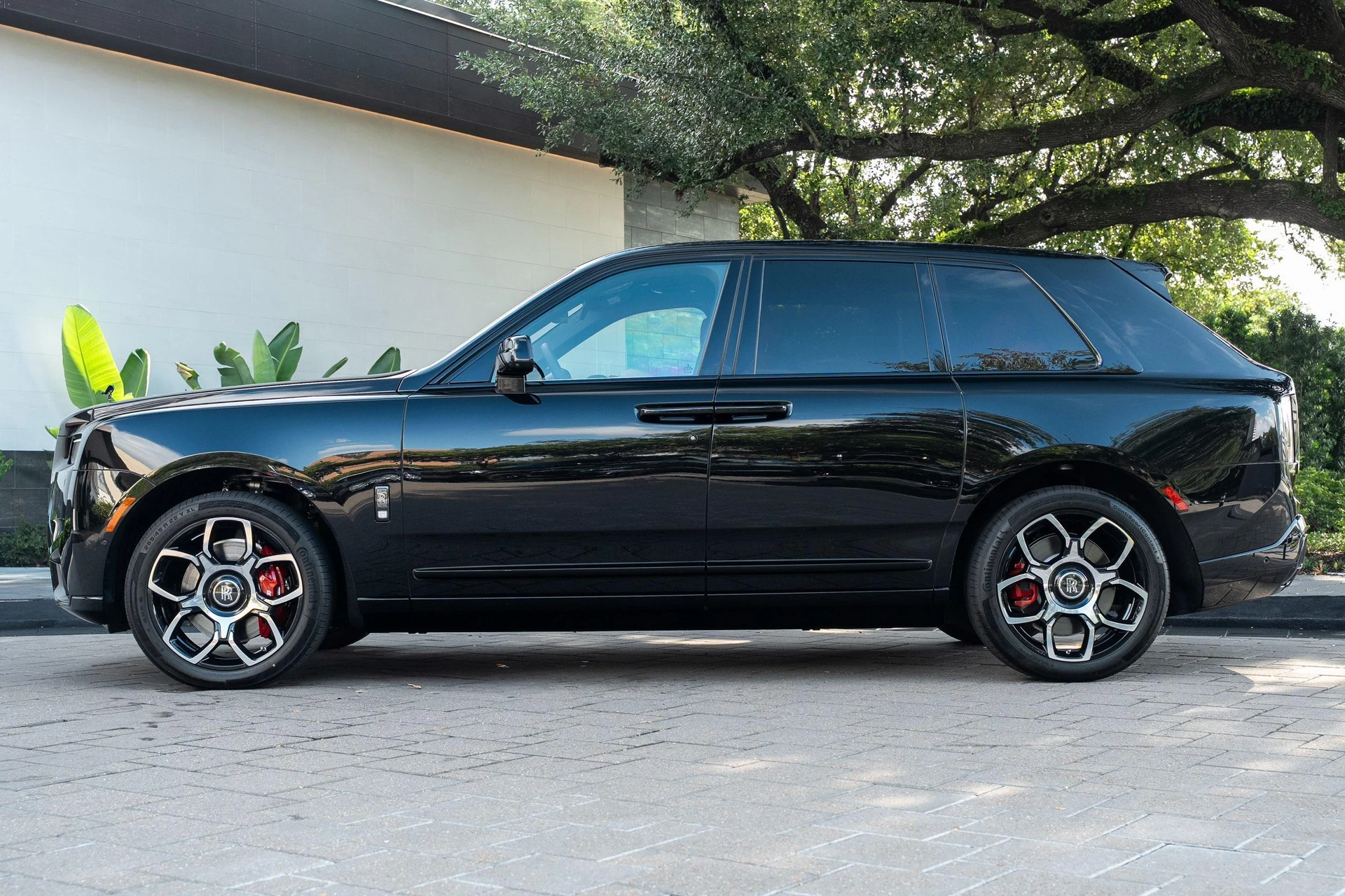 mph052_882609966_444459225_695cc0e78f3ee920bf5186df_71e498a212