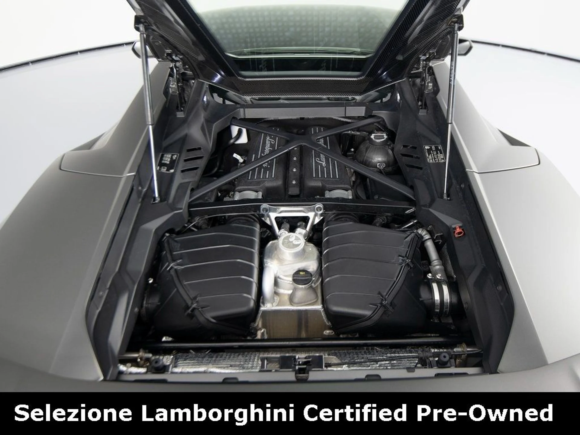 mph053_1139480724_4f4f3336ee5d9d465d6cfc0fd07df623x_a06186203e