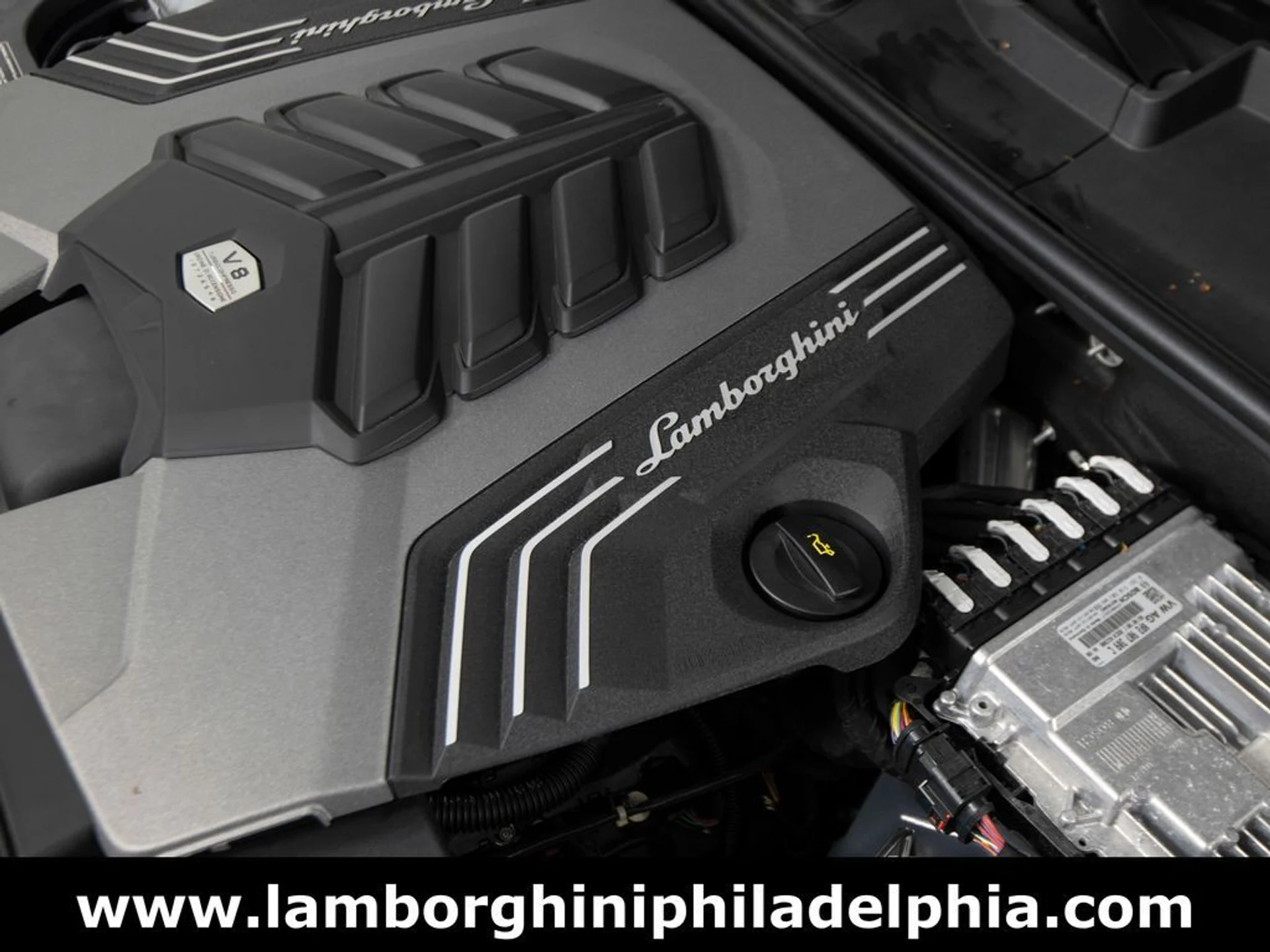 mph053_1264835588_3c1697f1fb02456a63bda1fa73dc2bedx_f81cf2c752