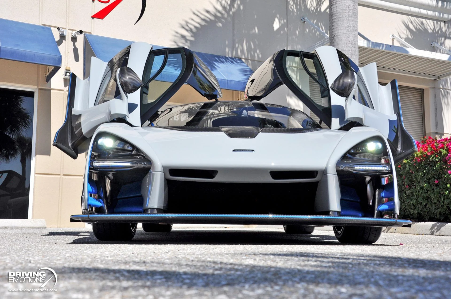 mph053_1511556523_683_p54_l_a88ca27331