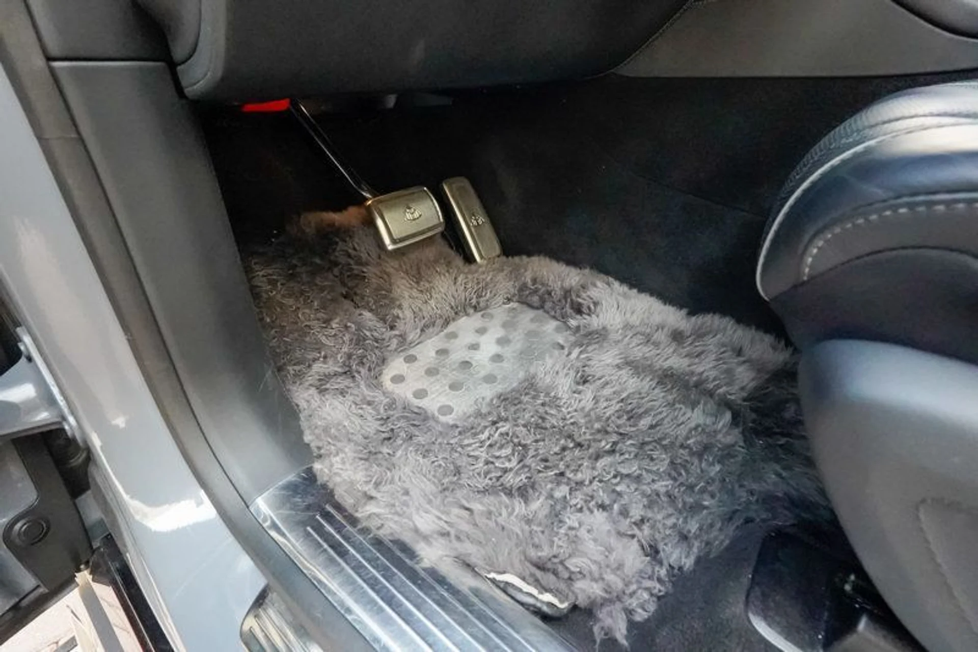 mph053_1694866170_22948878_54_800_d650f91dfc