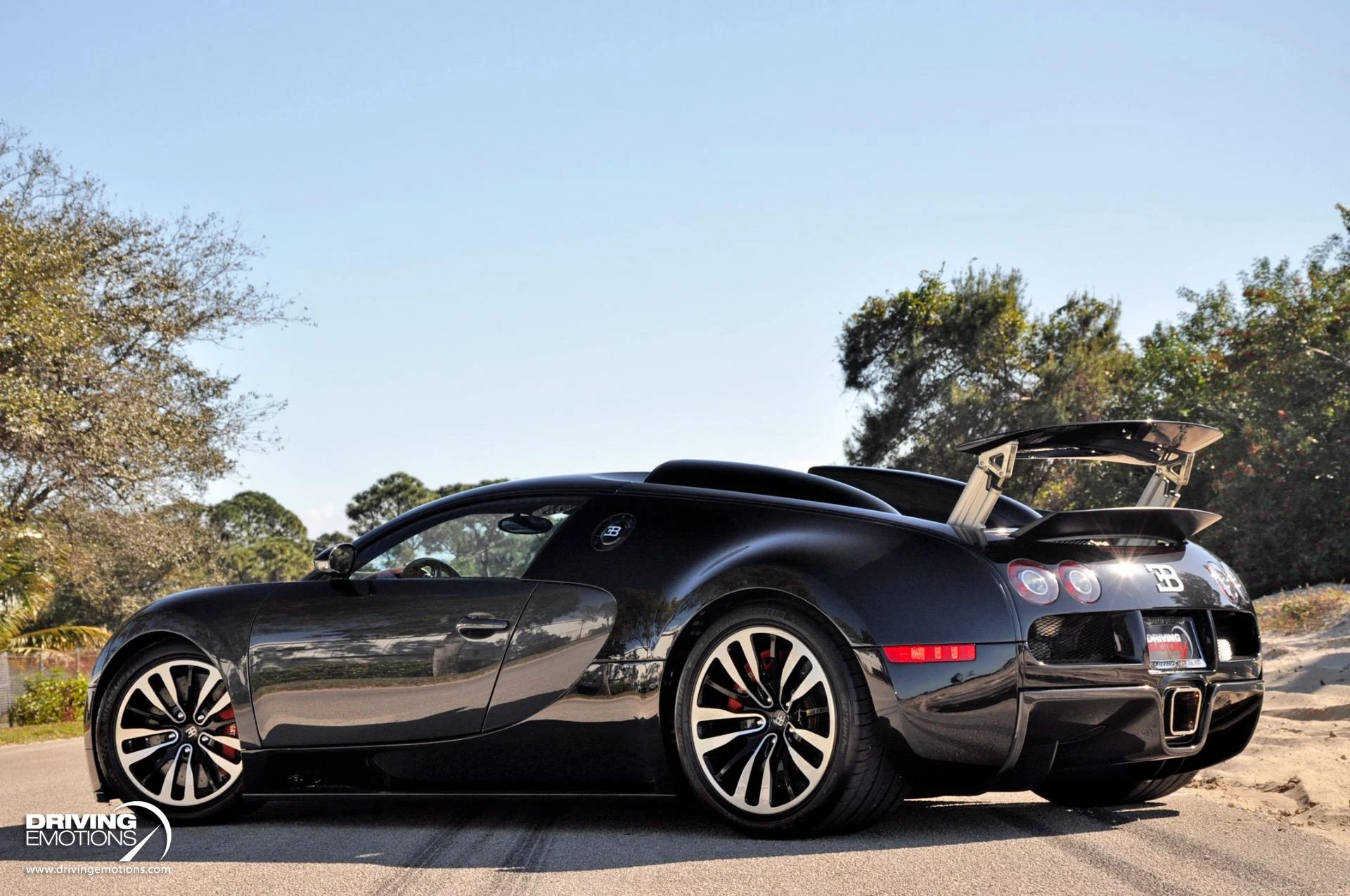 mph053_1955523957_479_p54_l_cc2bedc9f5