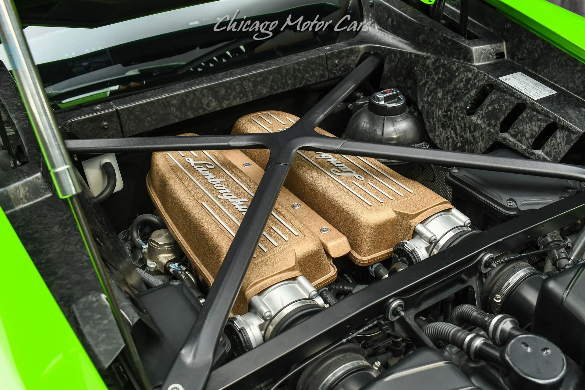 mph053_196826120_9835_p54_l_54ba961514