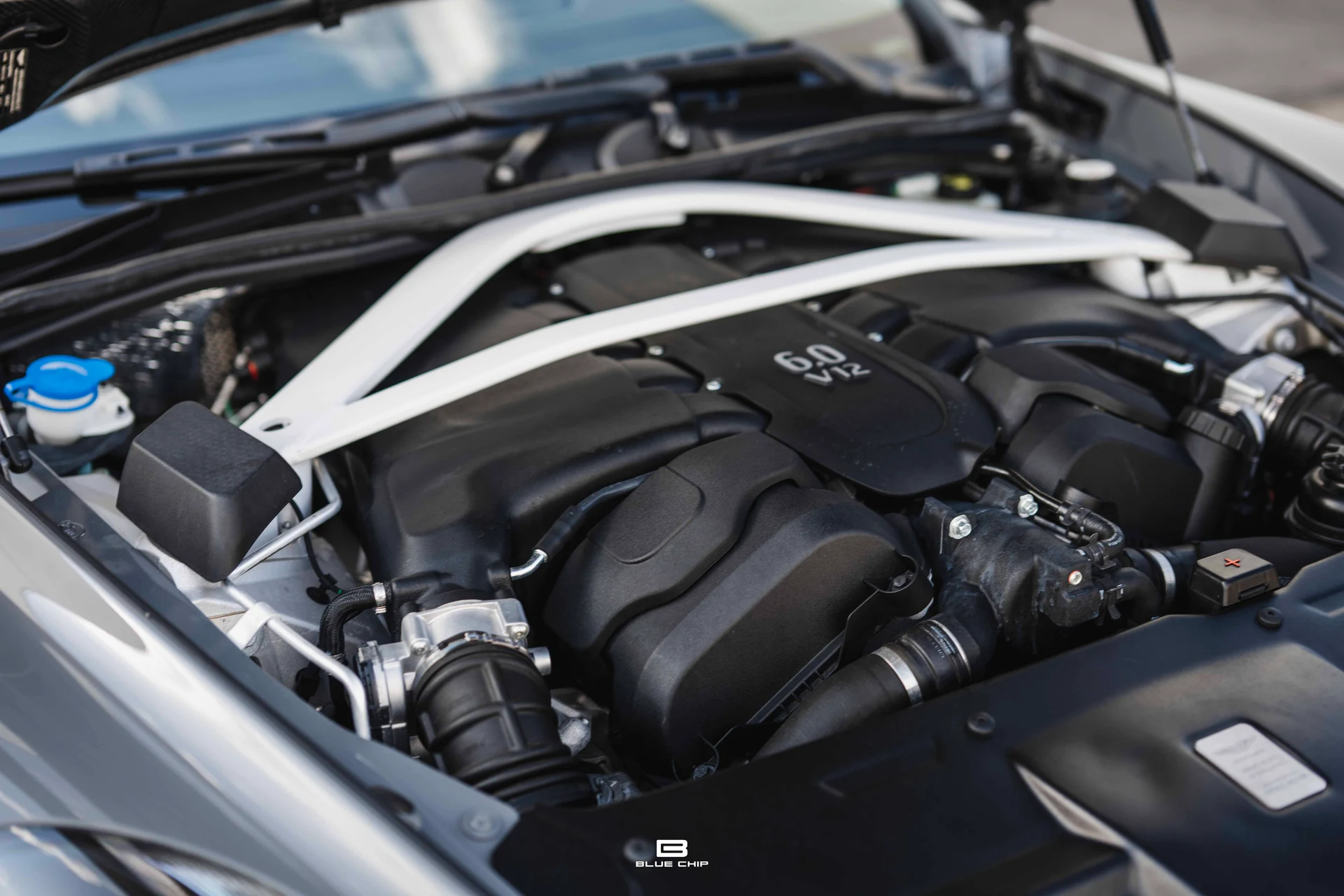 mph053_2136631003_69c2dce9790165f6a620040a_DSC_8124_6f3a6b3750