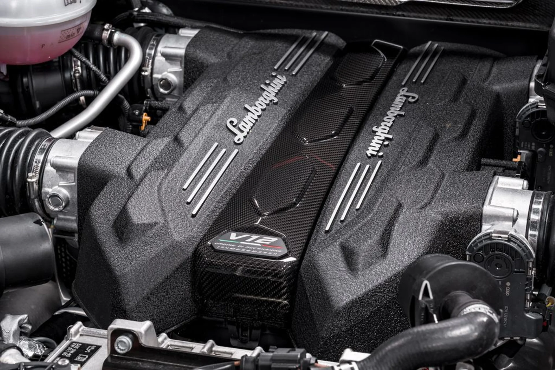 mph053_2335914675_b29179cb4c3da44f73205691755d2490x_7991cd977f