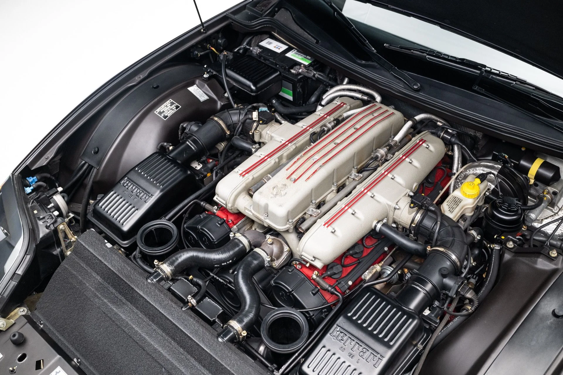 mph053_3099816212_11705_p54_l_f325dbf8a2