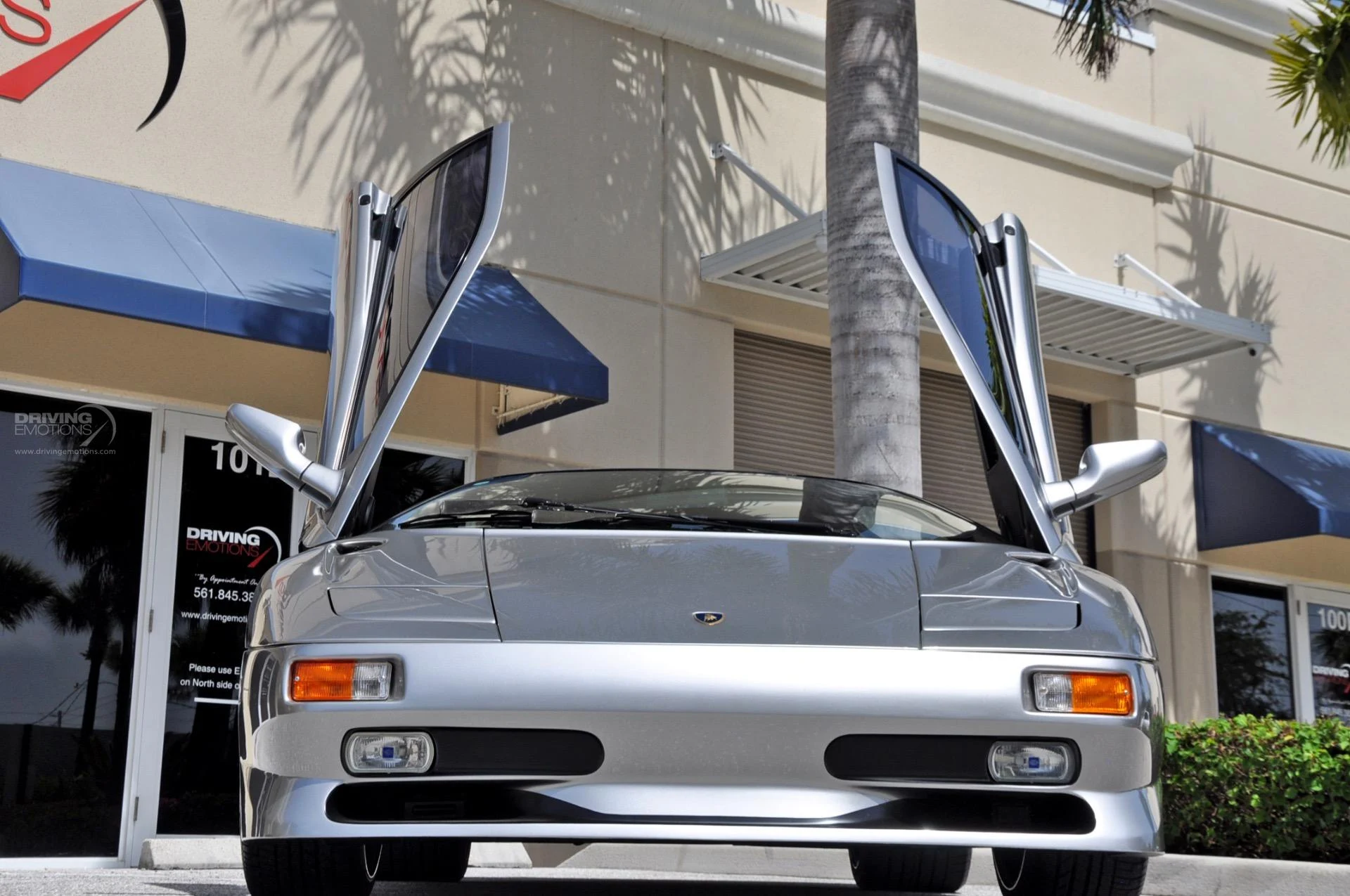 mph053_3293552811_192_p54_l_e7d4b5b8ab