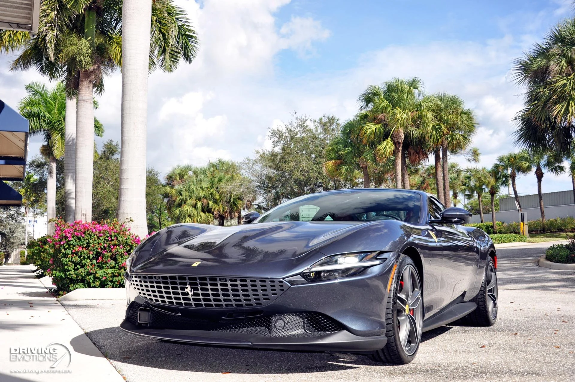 mph053_3436734744_882_p54_l_8c71a1c265