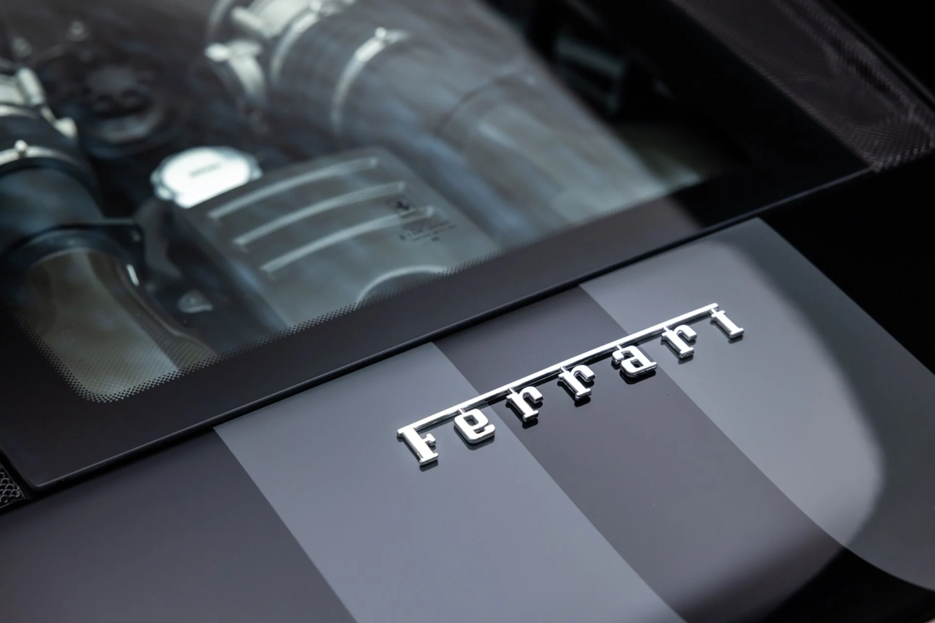 mph053_3541572427_13488_p54_l_ce3589583a