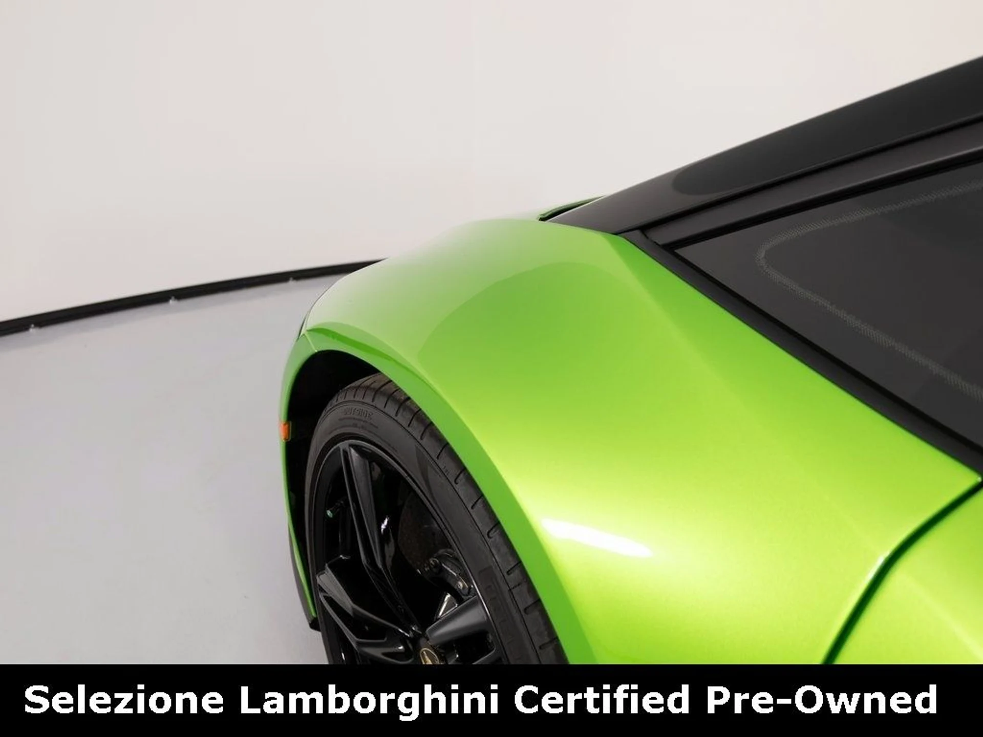 mph053_3681584511_cce05de27e7f2f7ed962410da7f993f0x_6ffdb00c2a