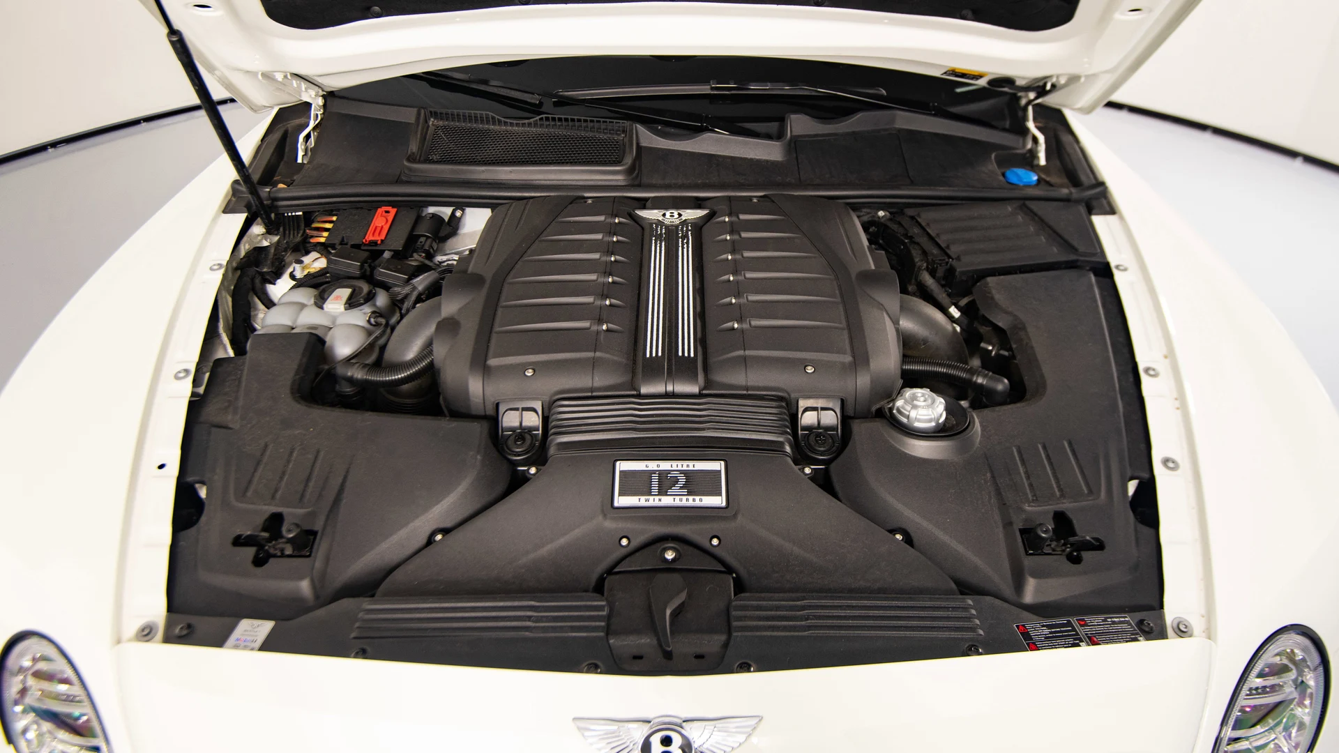 mph053_3684053705_9e3d3f0b08cd4f9880a38cf1d549a0f7_9315582649