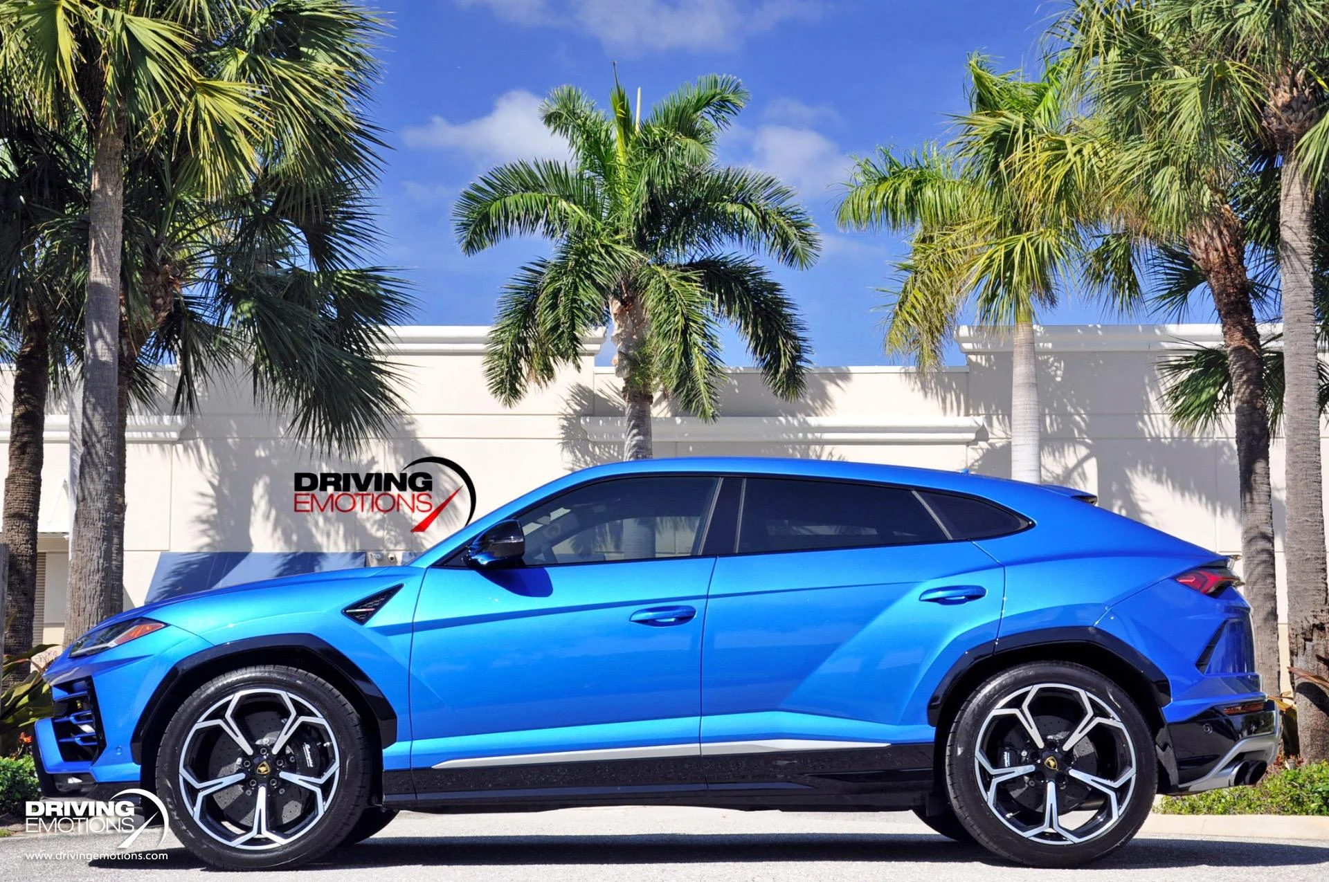 mph053_4155919654_801_p54_l_2bcabca7ce