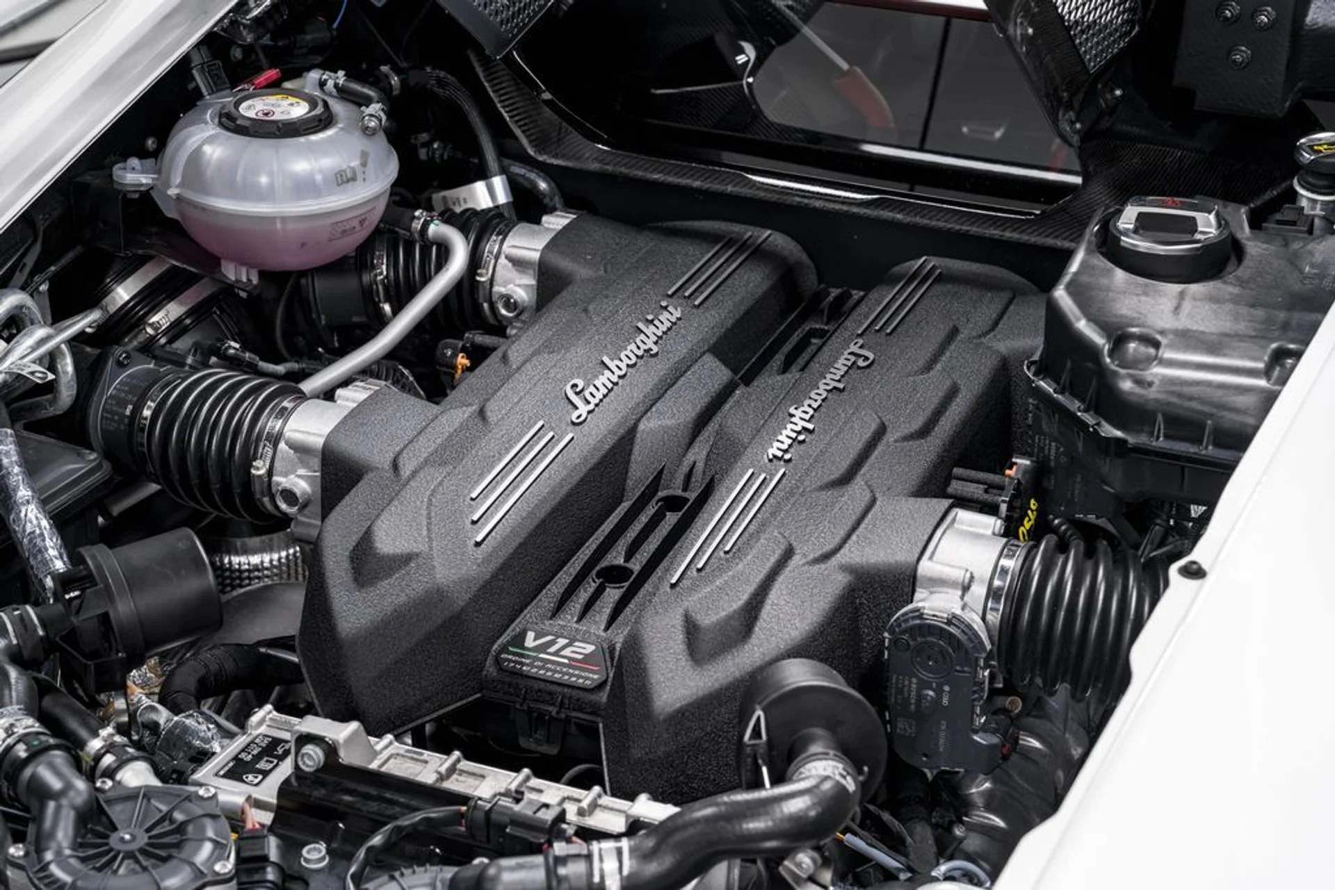 mph053_51038677_870de7267037d96067f86bd47da0da34x_e90bf0cace