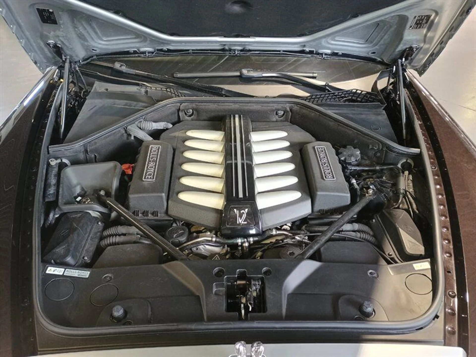 mph053_520411809_f976099bd1_800_6900f5892d