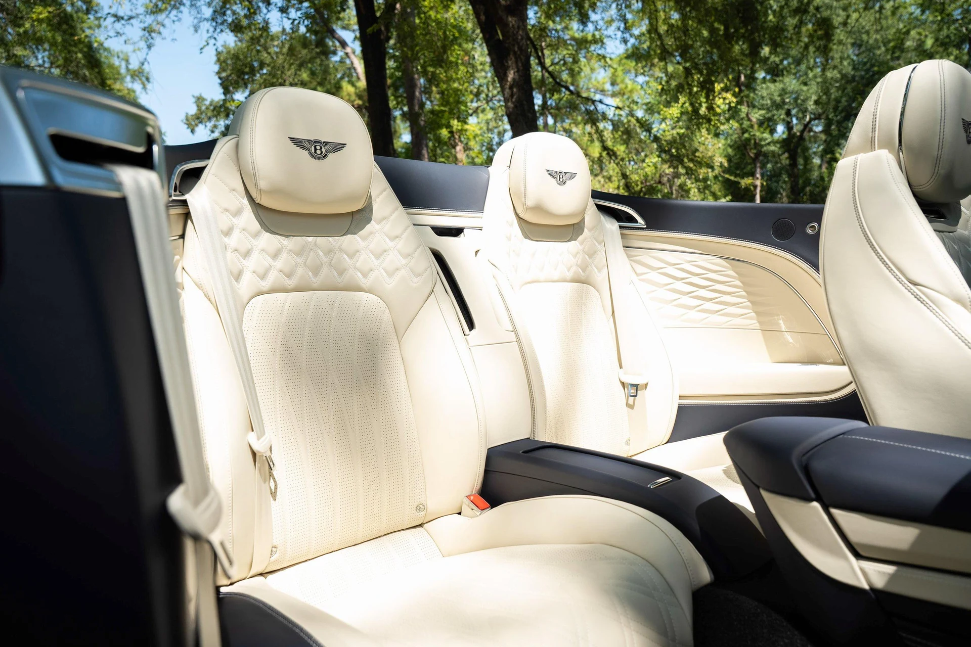 mph053_582950727_451284869_695f54e69054447ae61080cb_db8a4a4b8e