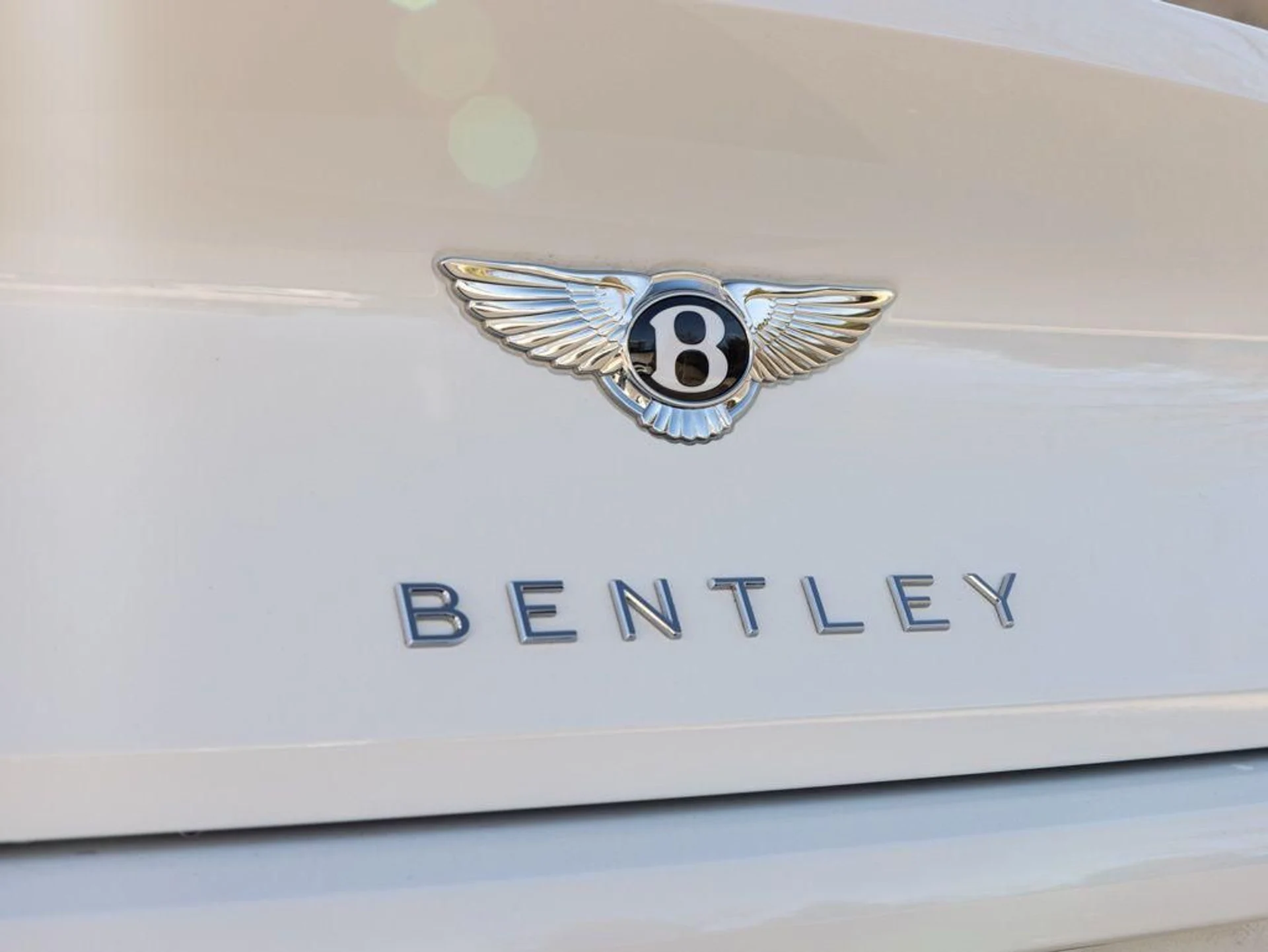 mph053_99029121_499141765_69a452fd0431bab765b4b429_d6bed0e905