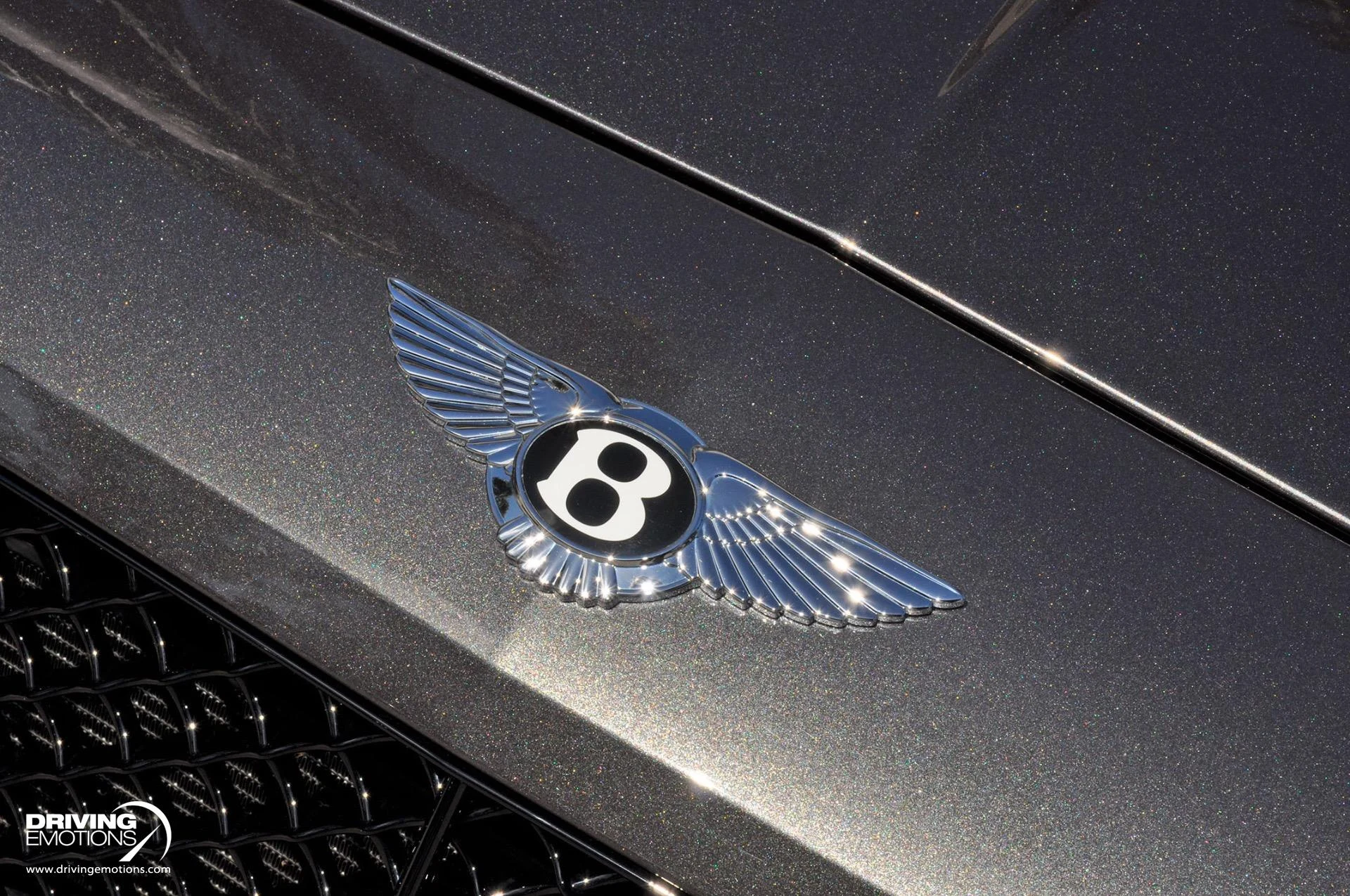 mph053_99629259_891_p54_l_3f78e38f41