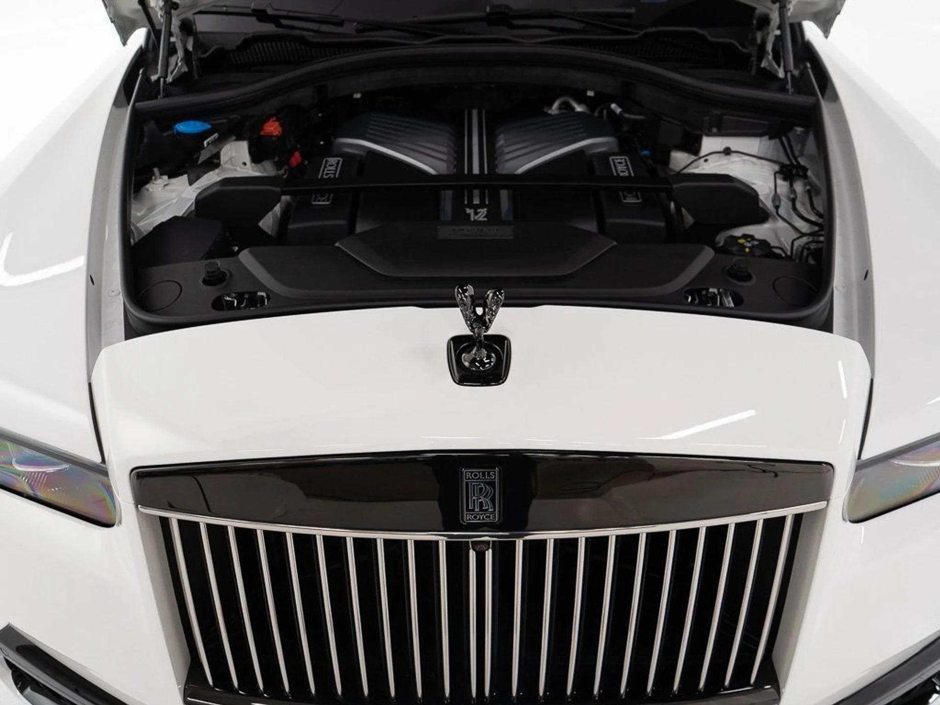 mph054_108266092_a7f70a9ae2a14c280975a6f5fd2d3a0a_02e41af541