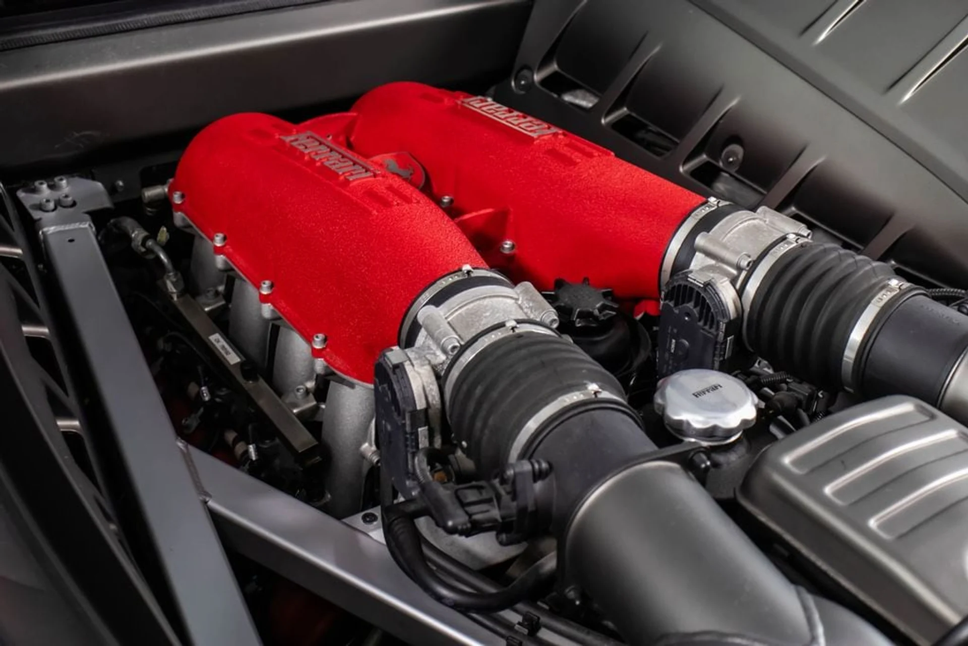 mph054_2469904290_8ee9ef3b5e4b8e0733e634b22f9ed054x_7182caa542