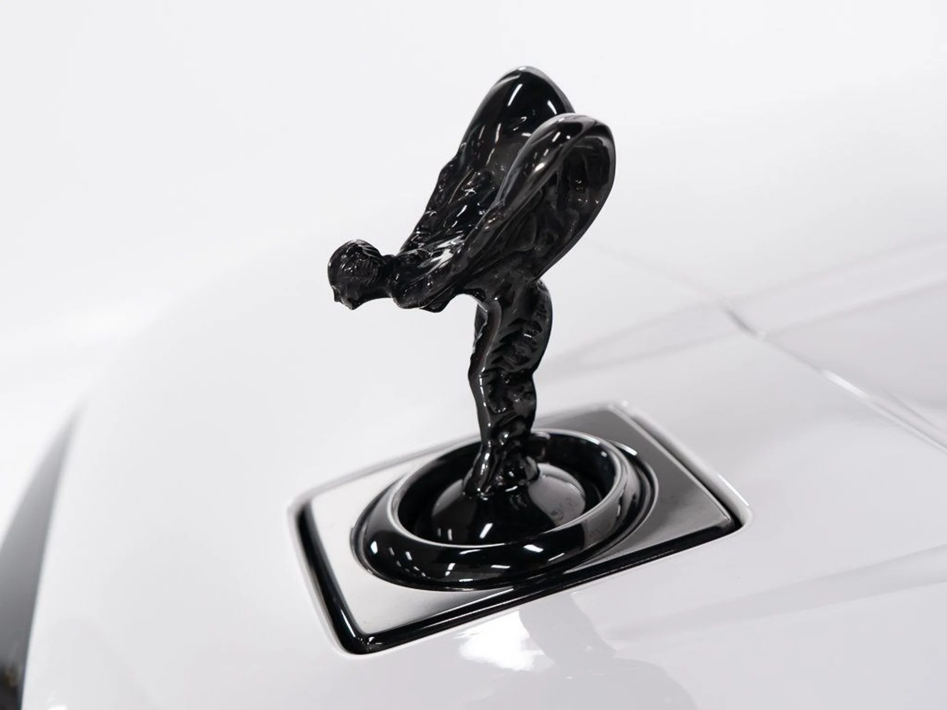 mph054_2482861053_61e1dbc288f7d98e64d576d27b3e5760_e3fc7d3689