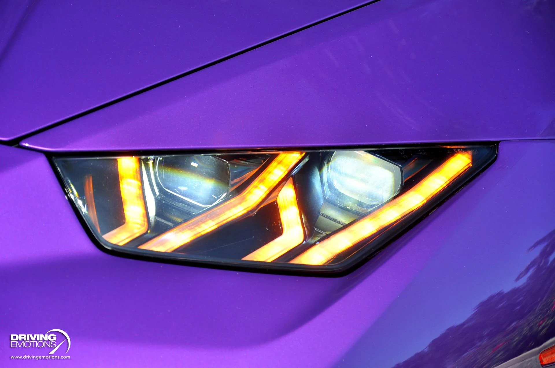 mph054_2805682849_863_p55_l_8ab7d1b7ae