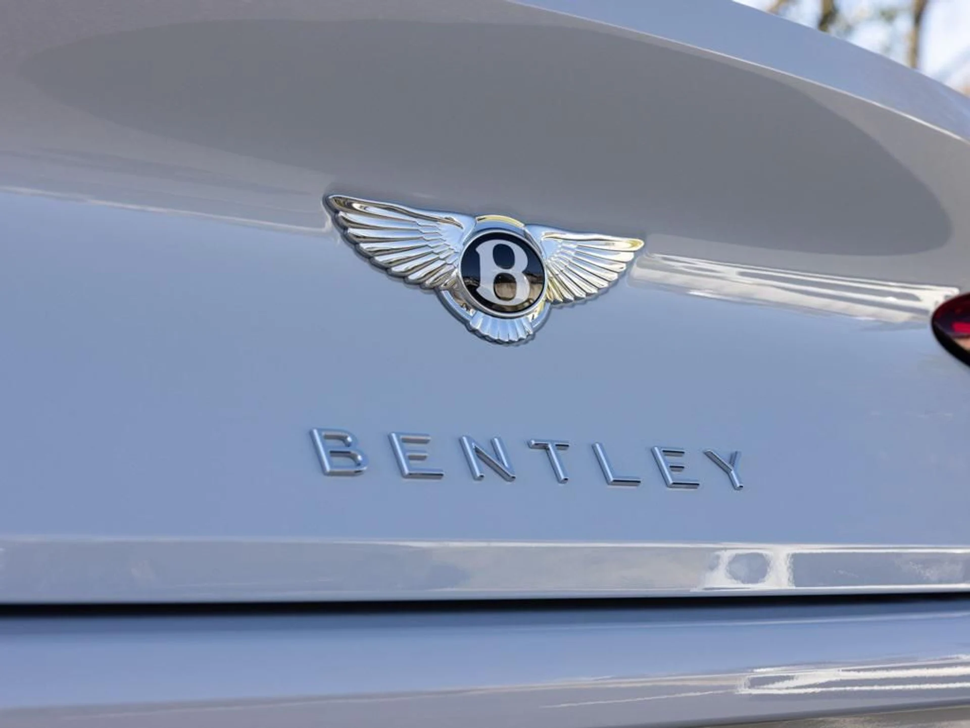 mph054_3354535482_477125130_692934d89b00833c2783f8a7_68a63c052c