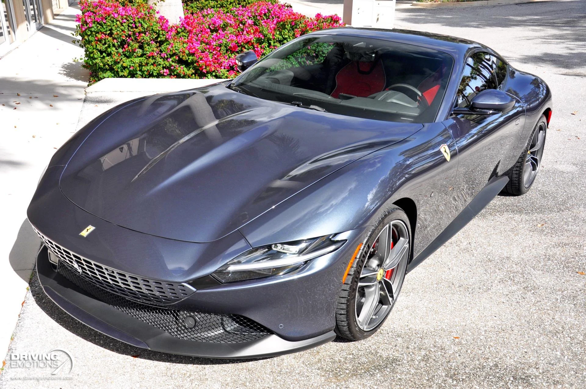 mph054_3382582005_882_p55_l_dc36e0ca2e