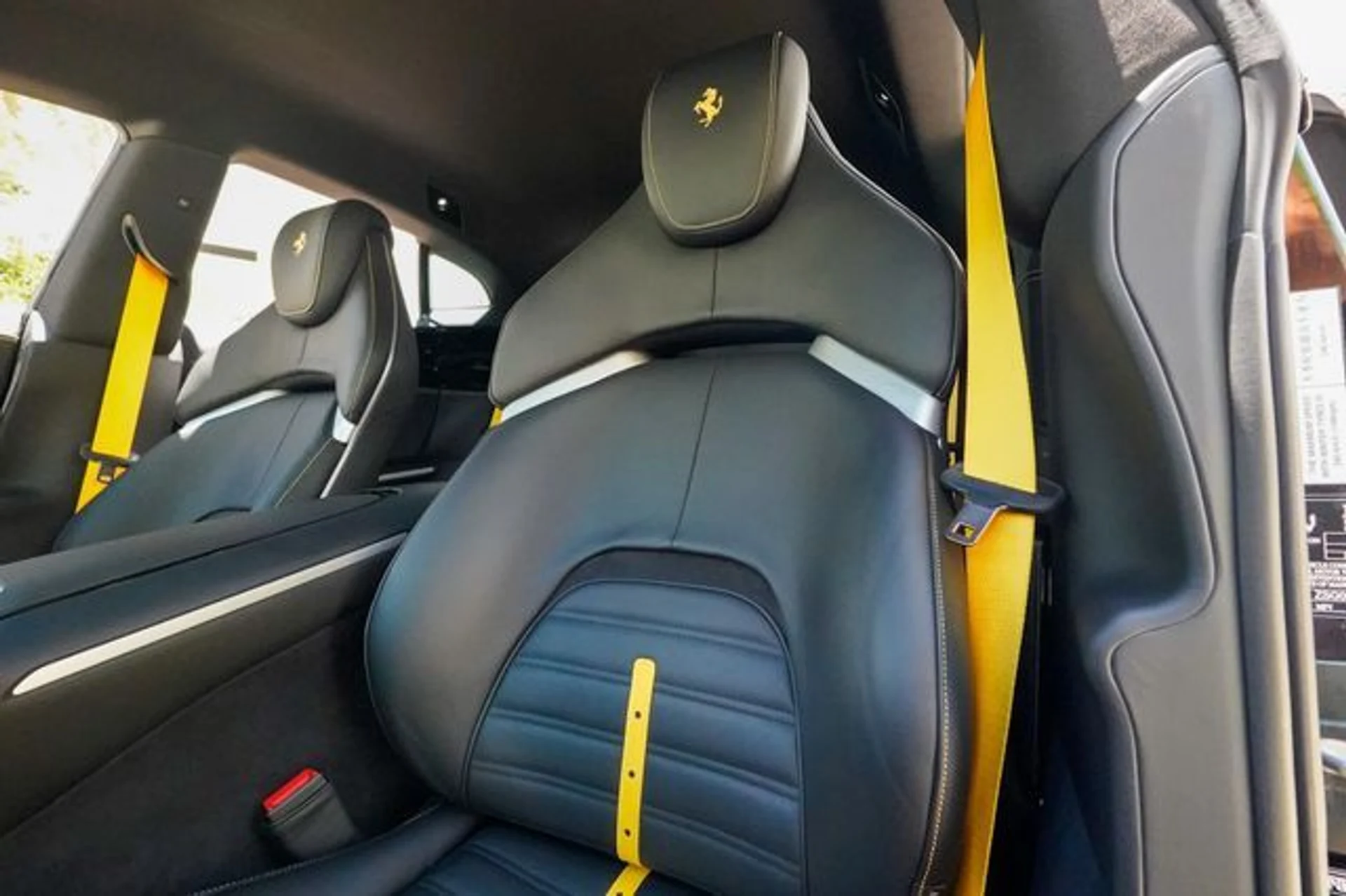 mph054_3403561265_23015679_55_342cf4b7fa