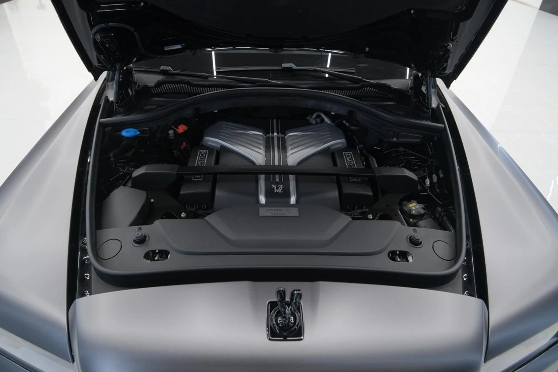 mph054_3822515215_607444603a8e468862e4ec72221d05de_58c65396ff