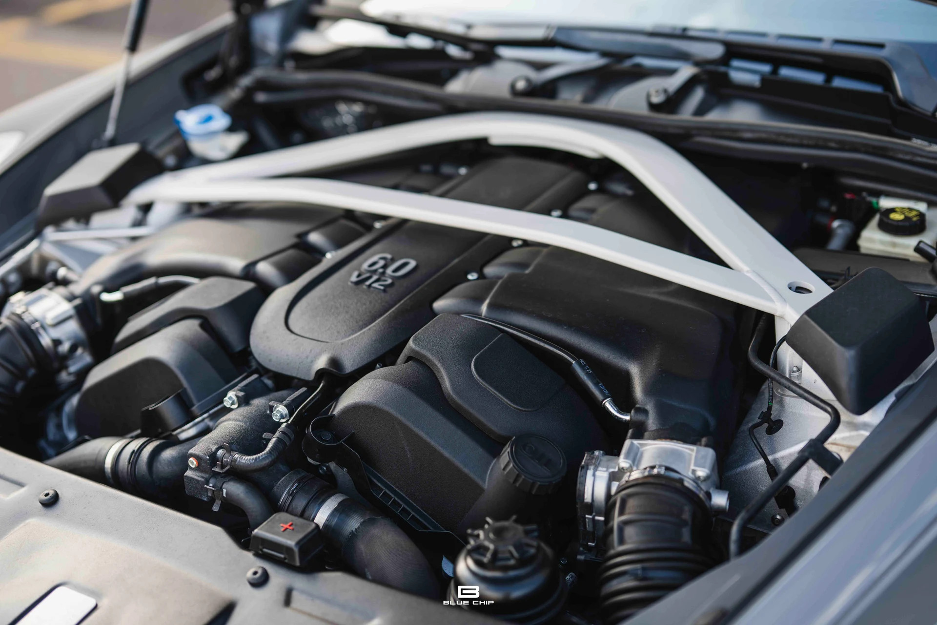 mph054_4050432524_69c2dce915edf561cefb665d_DSC_8125_631dcbb03d