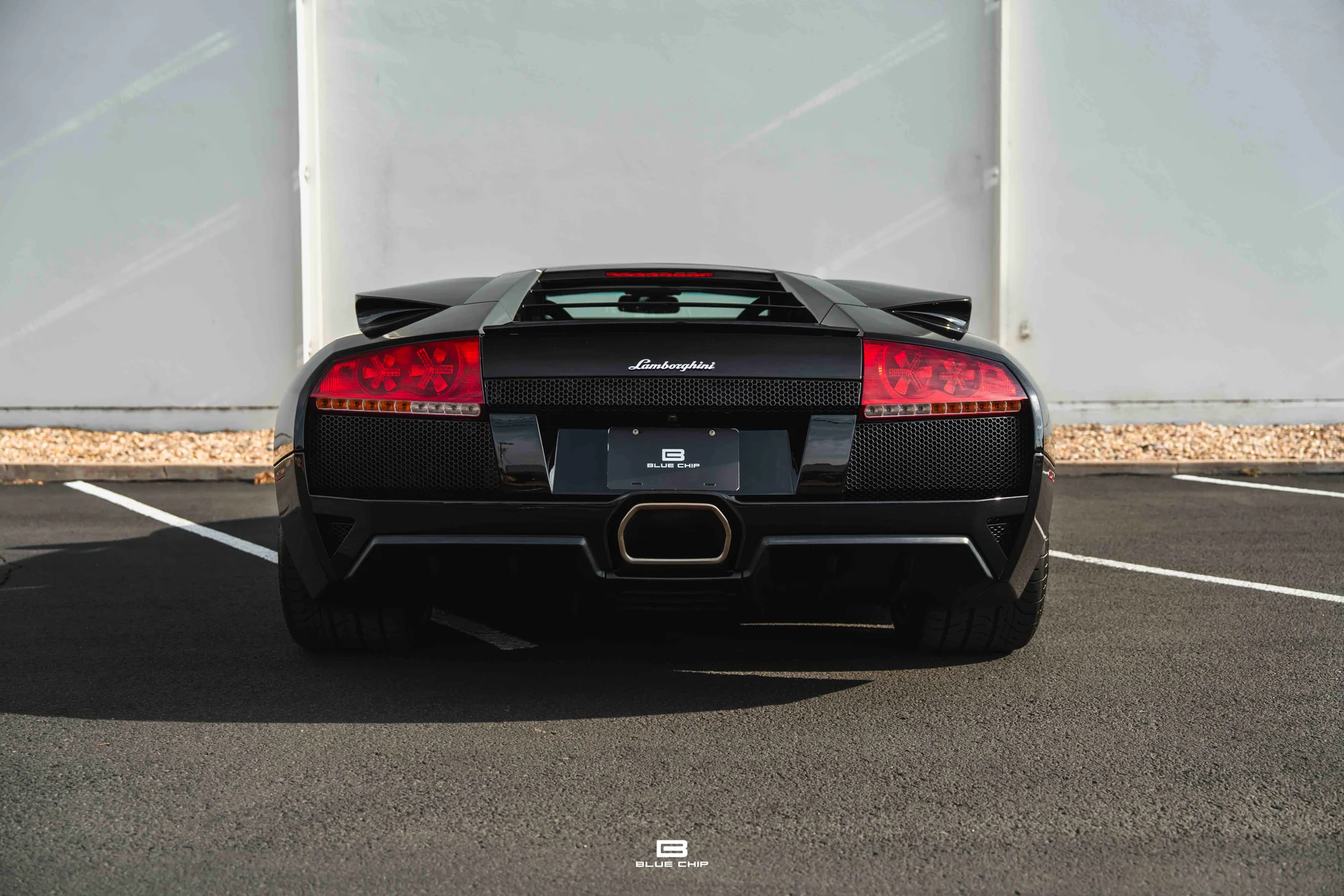 mph054_505588178_6893847ec1431ea0f64193f2_DSC_01127_ca8ef891dc