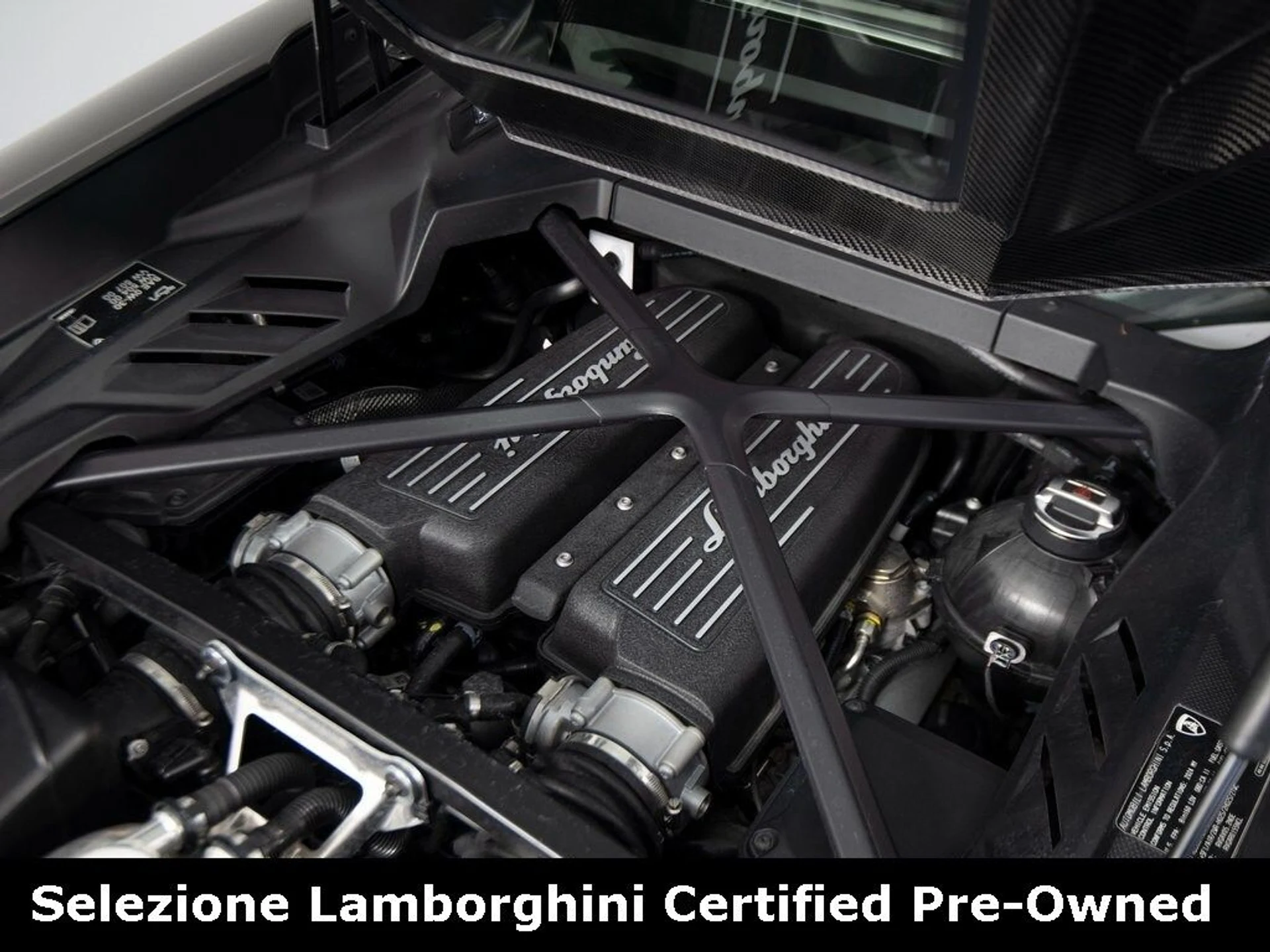 mph054_568533557_a479629009ffd80b8d5e38f0a578918dx_164c9ccd03