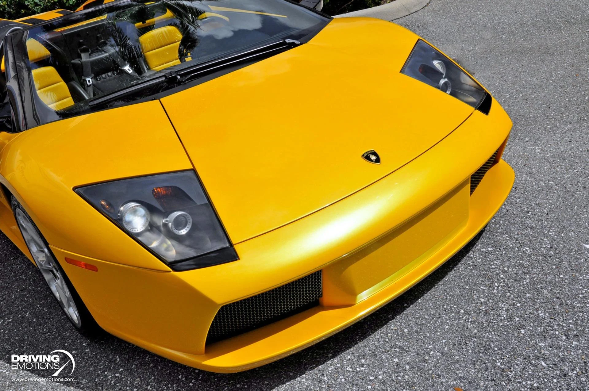 mph054_595825186_862_p55_l_7258caed9e