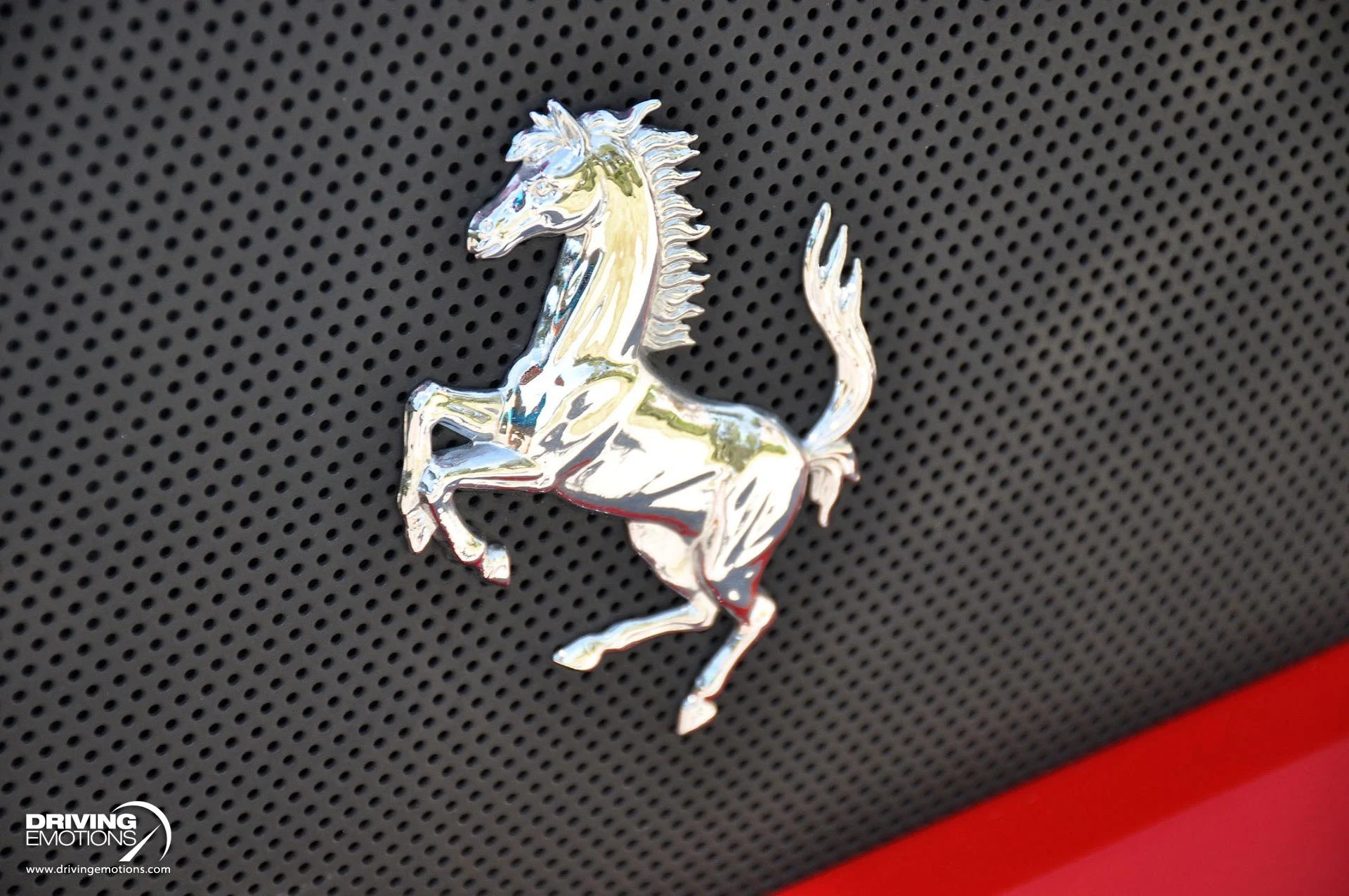 mph054_950579240_824_p55_l_f203d6c6fd