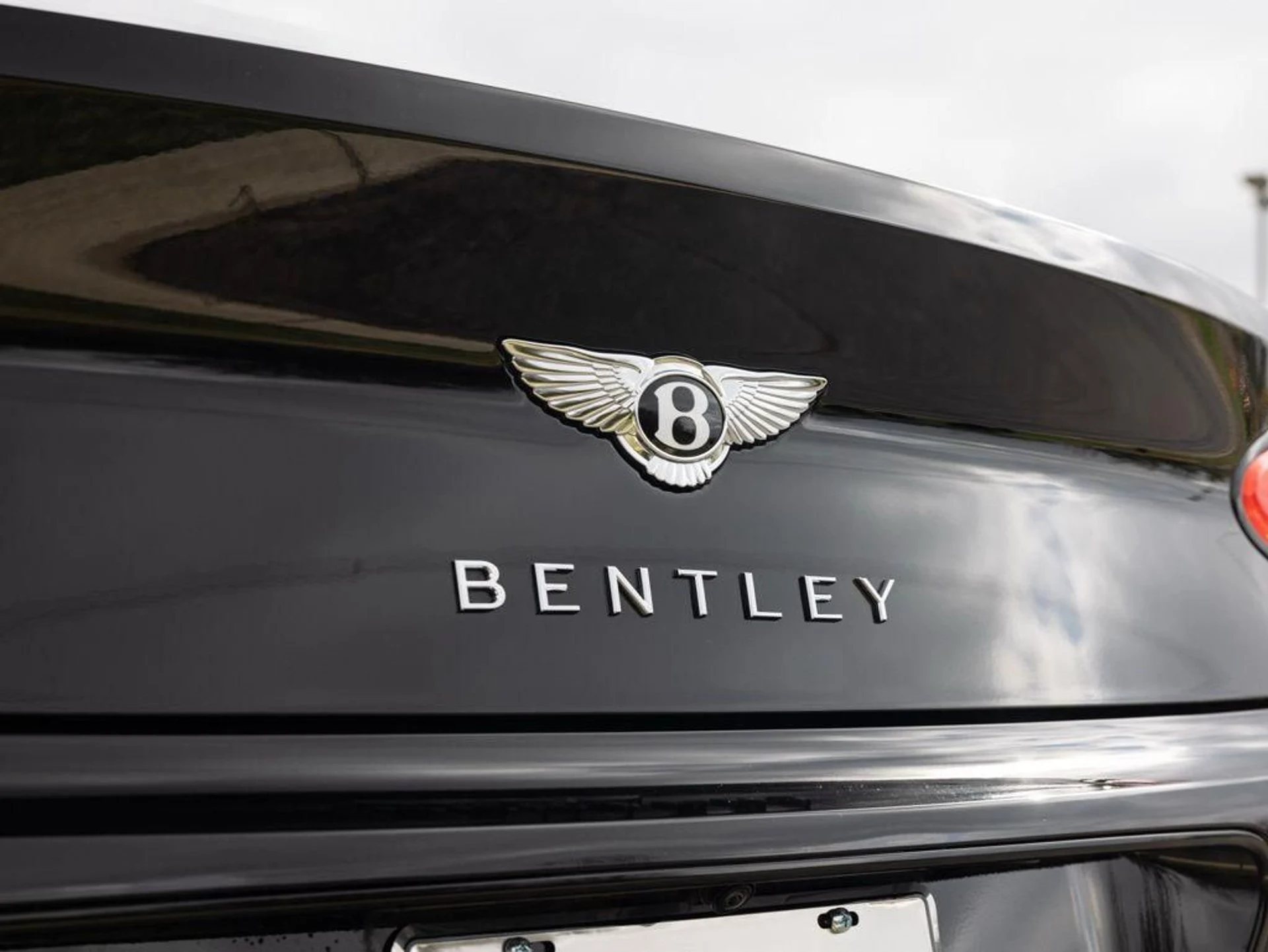 mph055_1121360923_502891109_69c2b0a50101ed4b1a20828c_816dd94a99