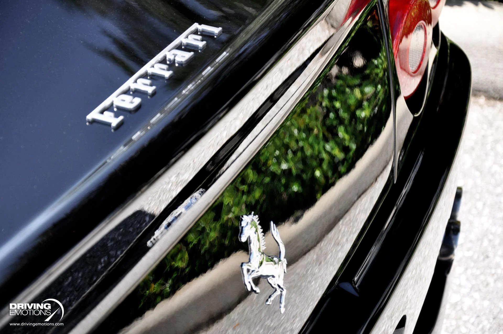 mph055_177311293_284_p56_l_094e48061a