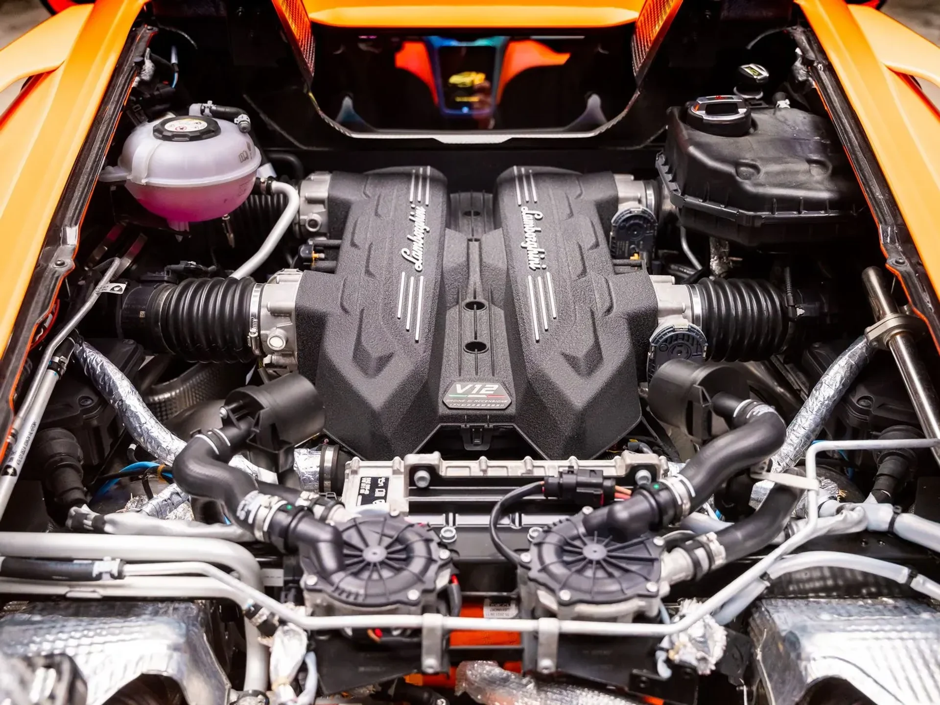 mph055_18901155_9044a144_426d_4076_8273_d6bae40a113a_c0a151d026