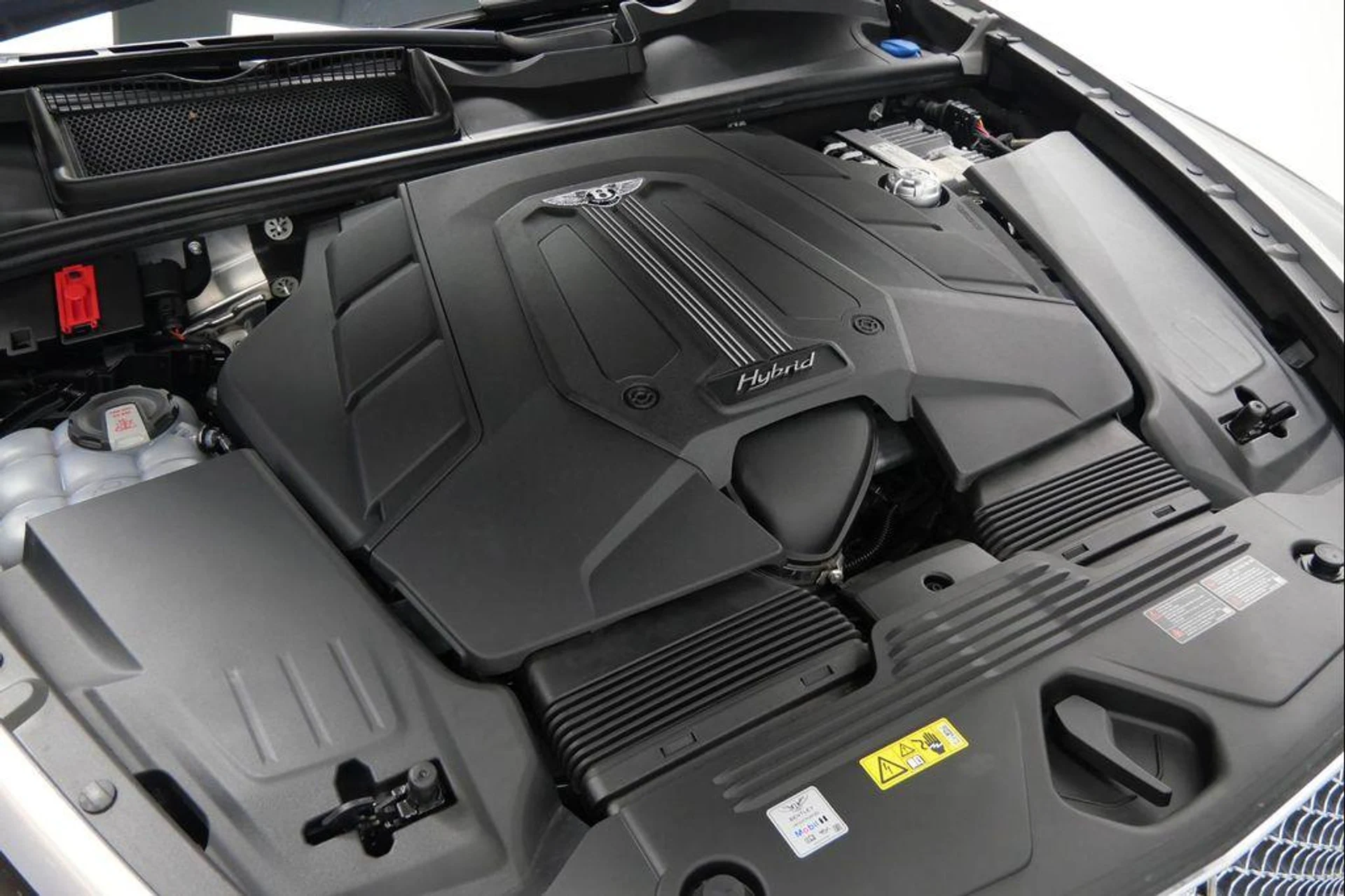 mph055_1927532387_r_Z41w_Y84_JP_7h_Mw_M3w_Sd_Qxj_MVDYU_4dccd0206c