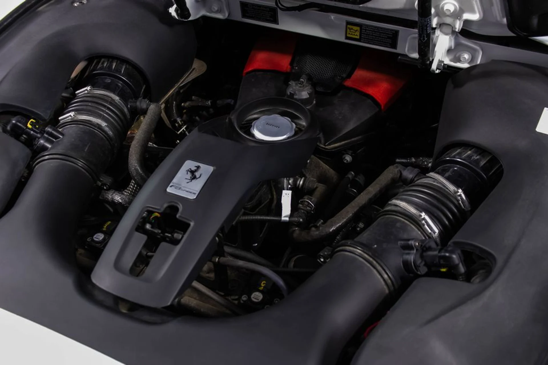 mph055_2465389870_286a0abf5cd2c1d1bfe88c185314f2e6x_e50ba75fab